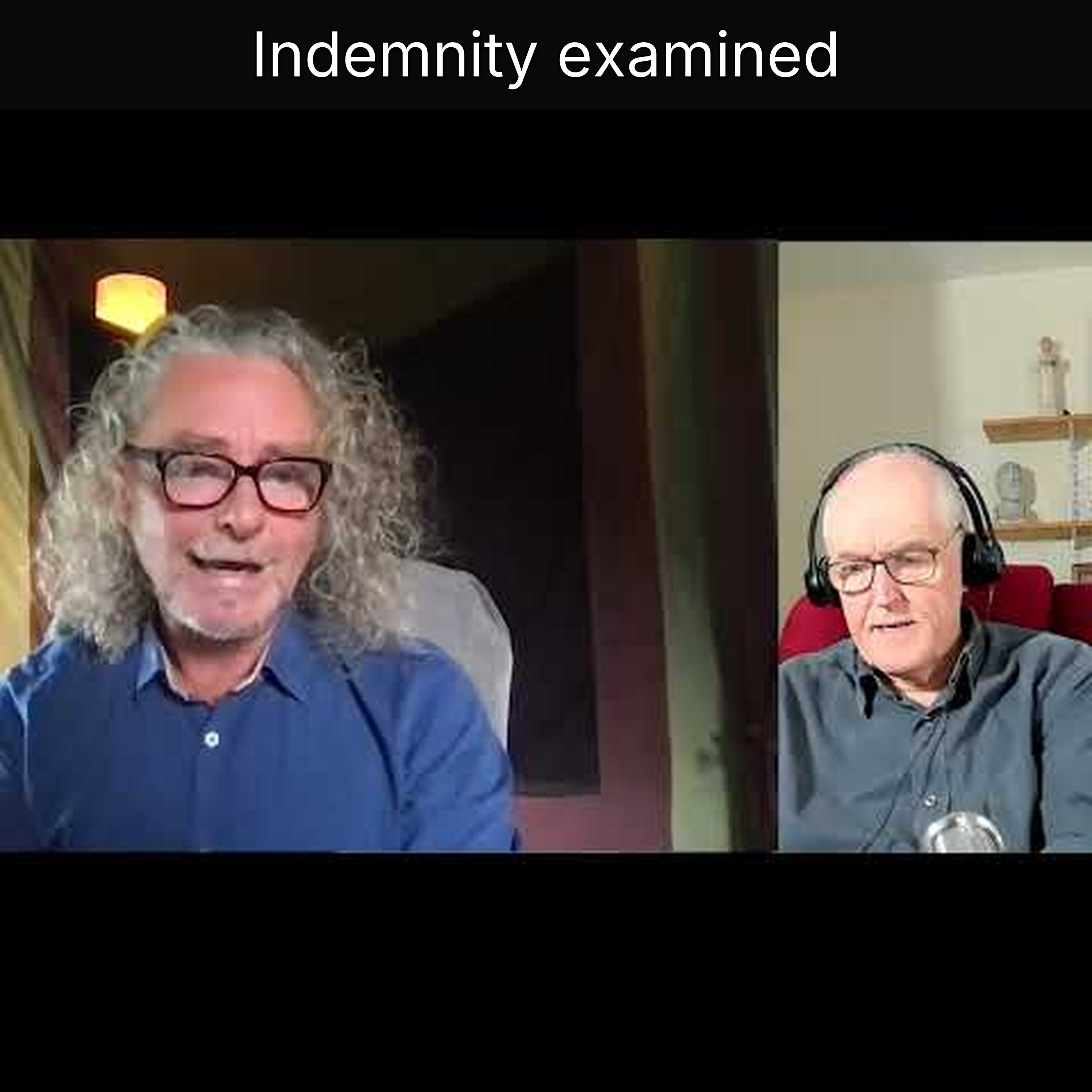 Indemnity examined