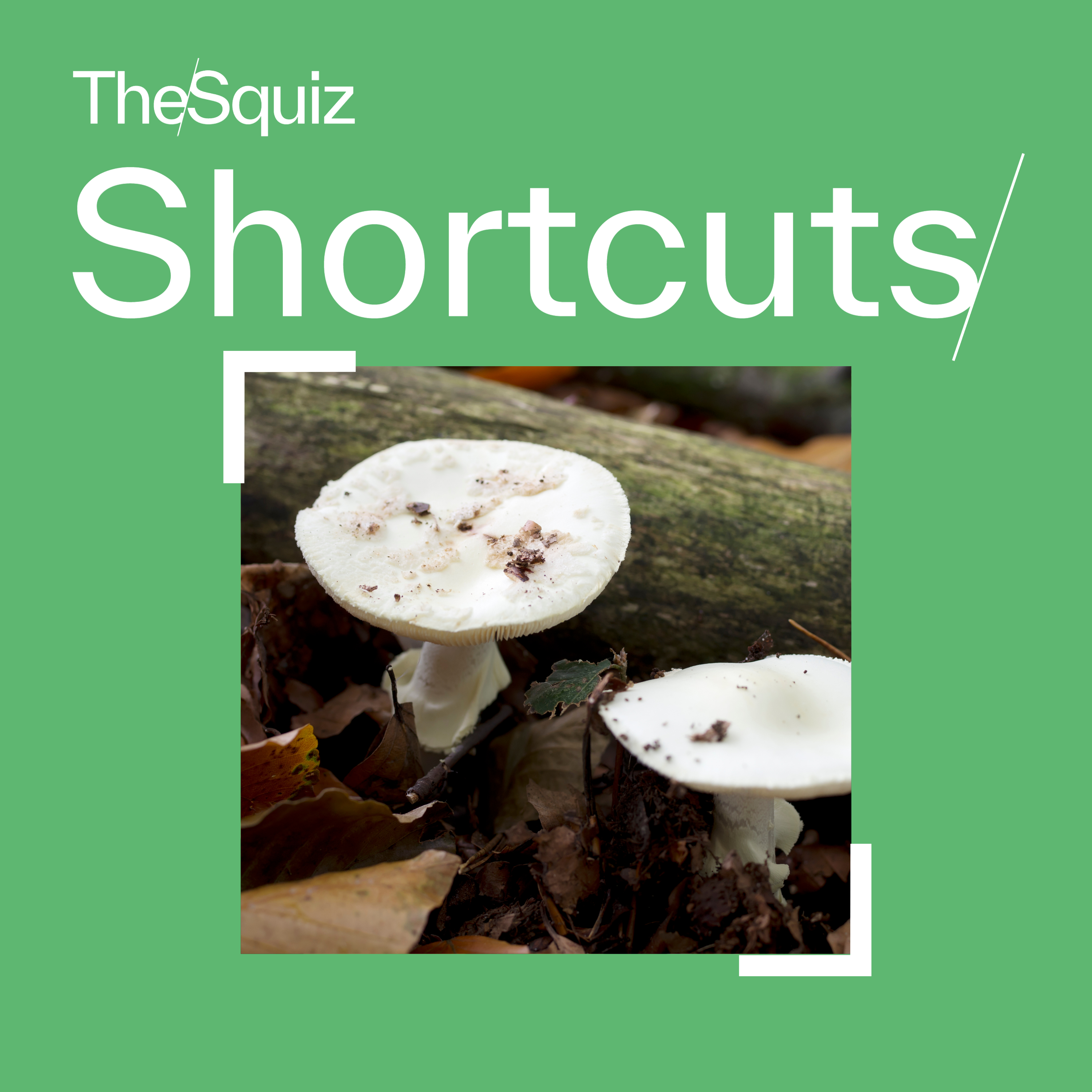 Squiz Shortcuts: After the mushroom murders