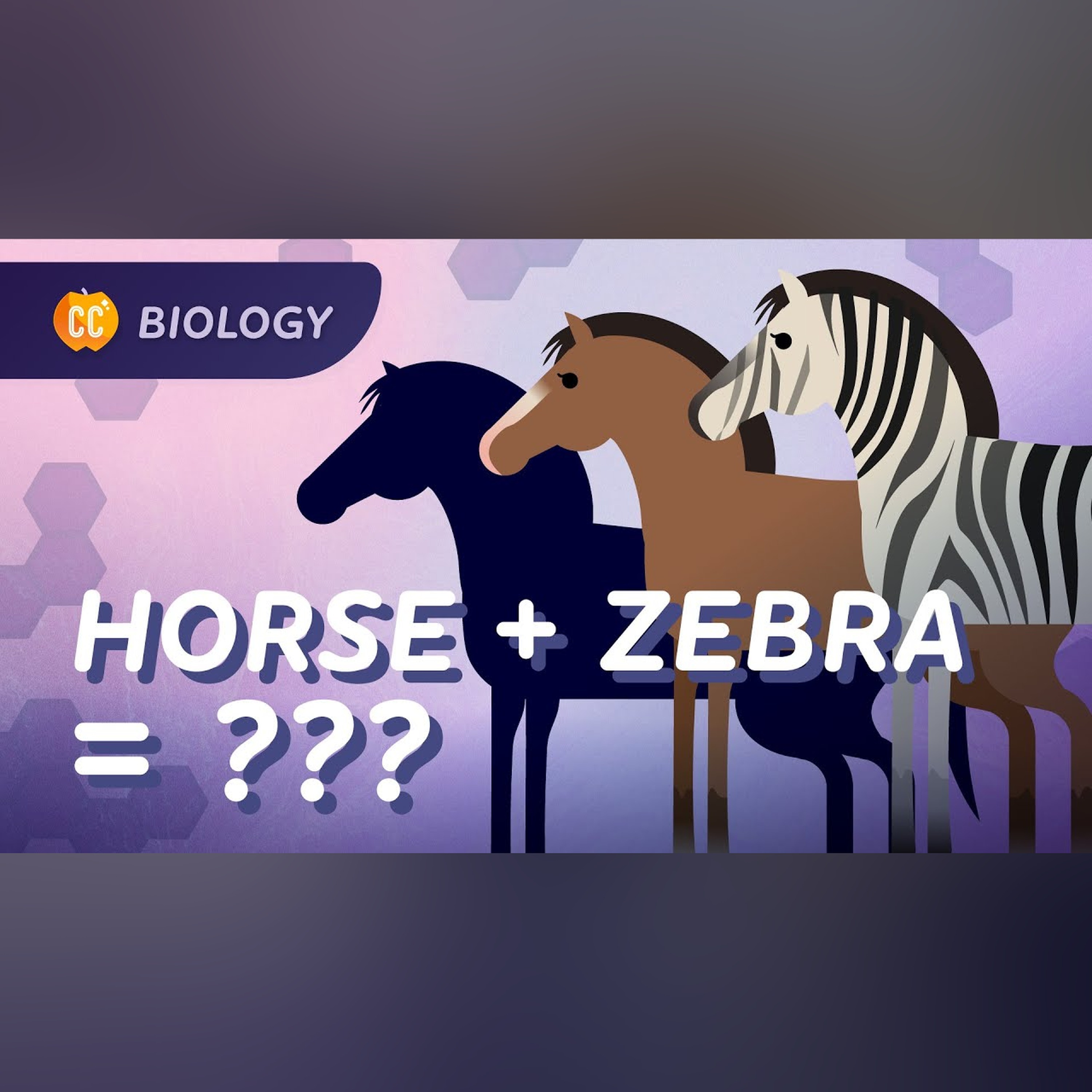 Speciation: Where Do Species Come From?: Crash Course Biology #15