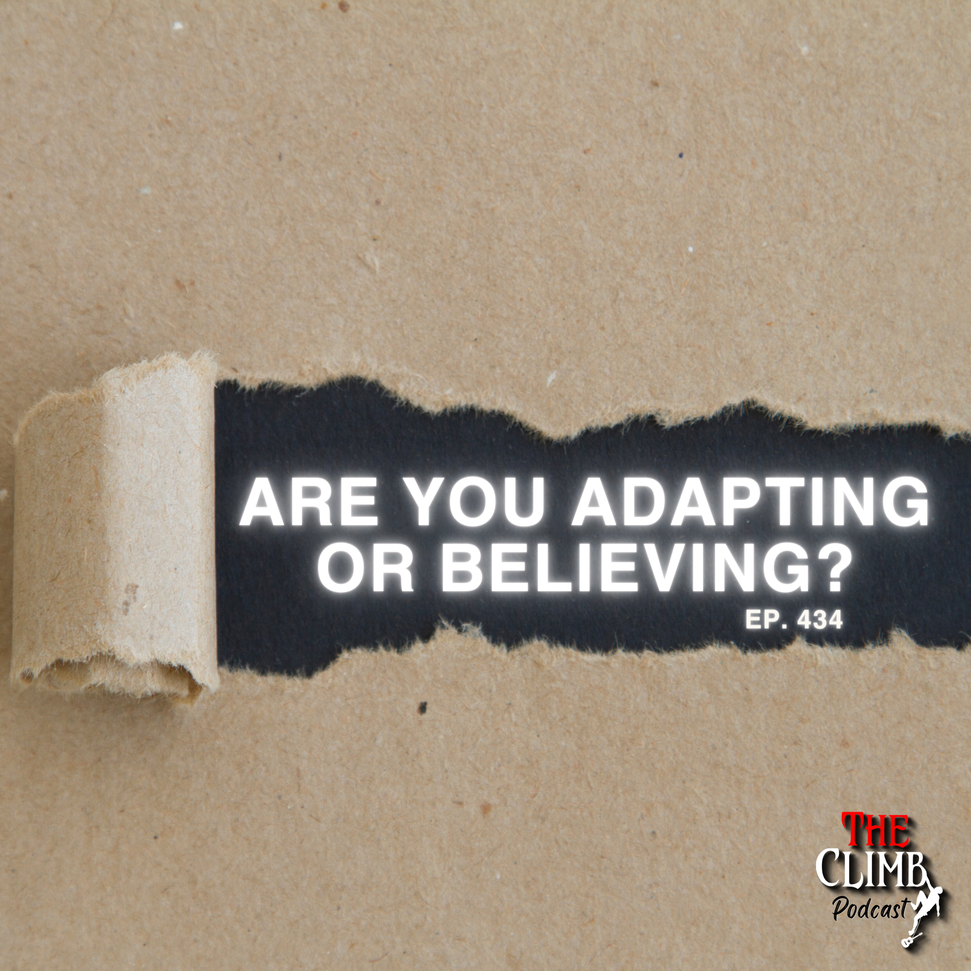 Are You Adapting or Believing?