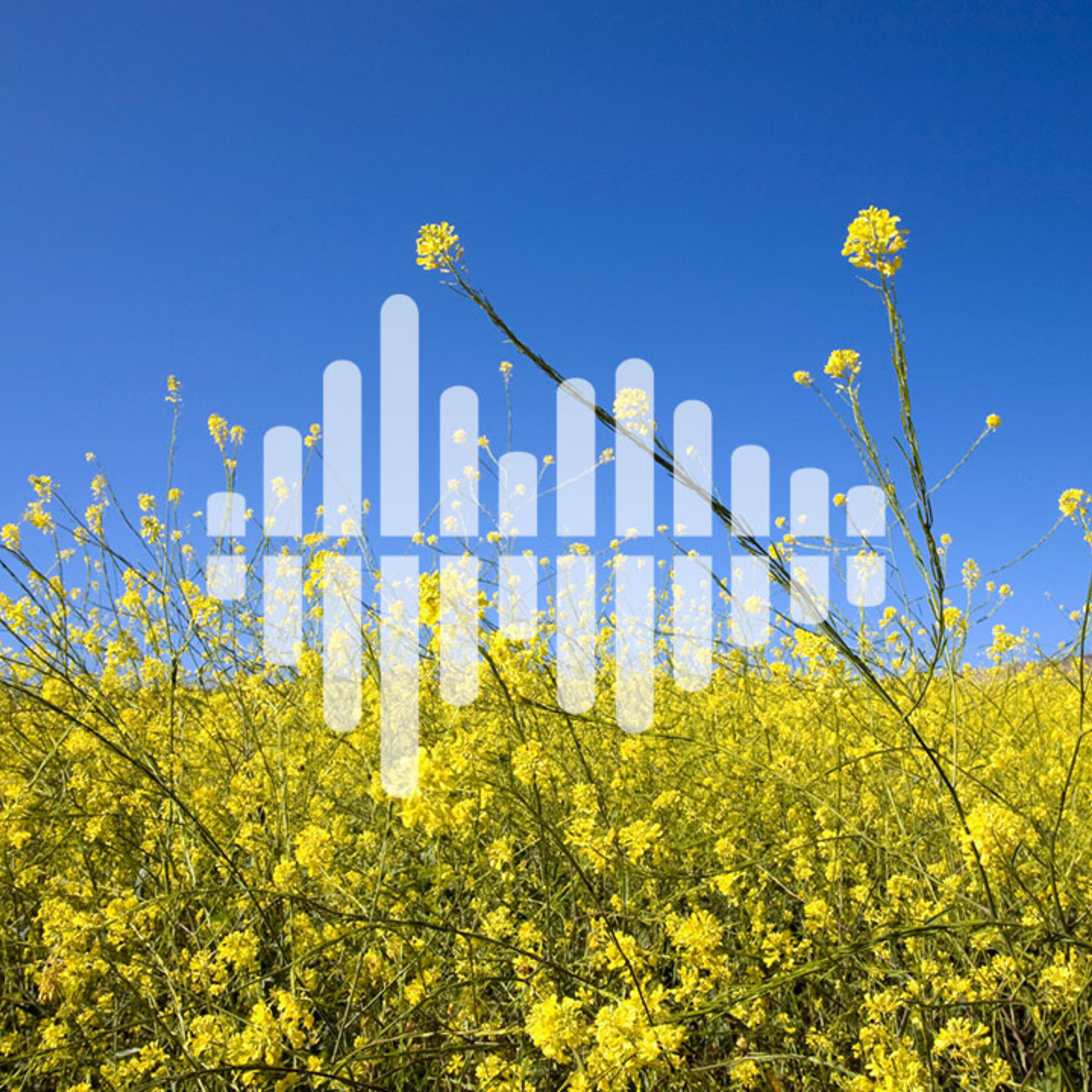 Bad stats overturn ‘medical murders,’ and linking allergies with climate change