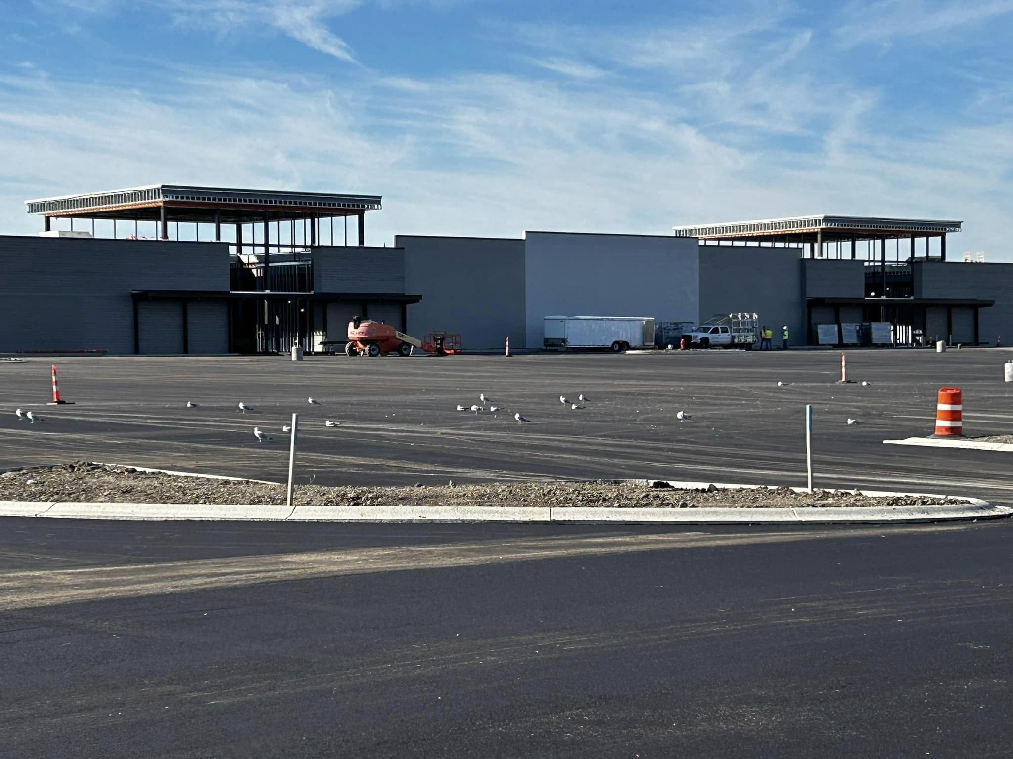 SEAGULLS! (Stop It Now): Super Kmart, Memories, and Medina’s Lost Landmark