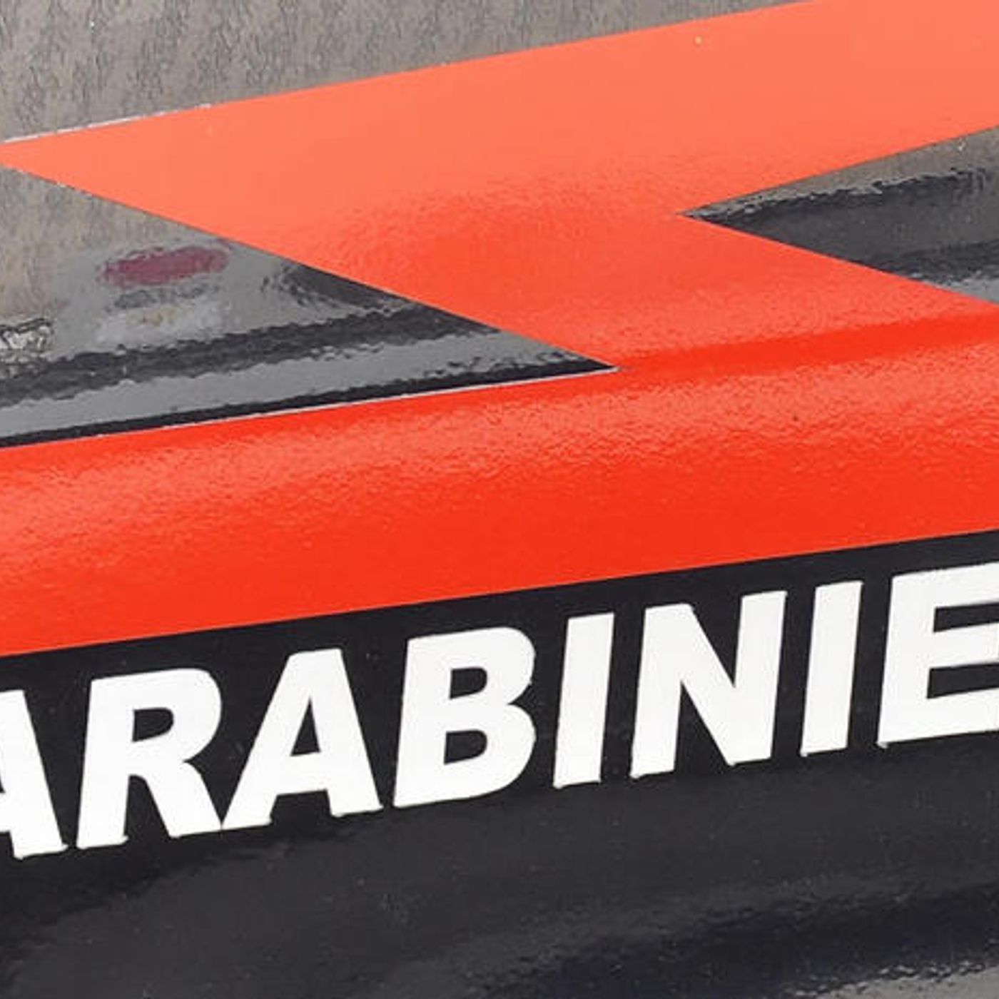 Cagliari, la carabiniera: "Così ho salvato un bimbo al parco"