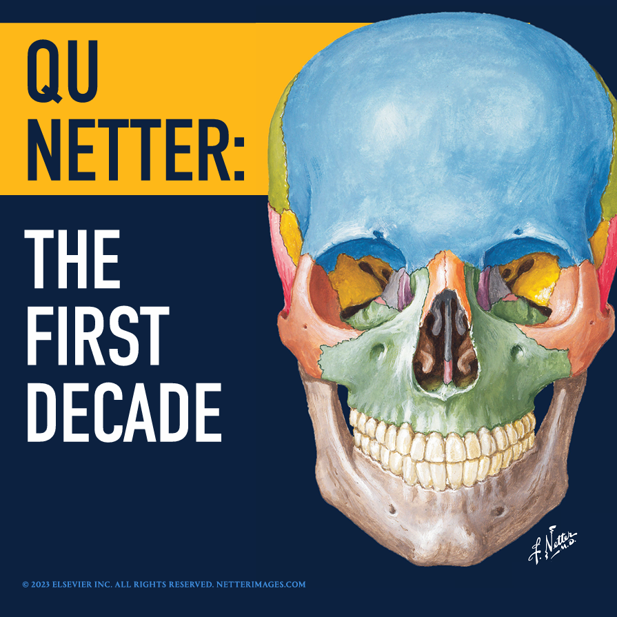 QU Netter: The First Decade Promo episode artwork