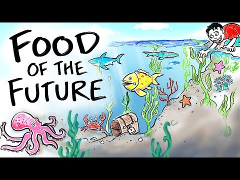 Is Seaweed the Crop of the Future? | After Skool