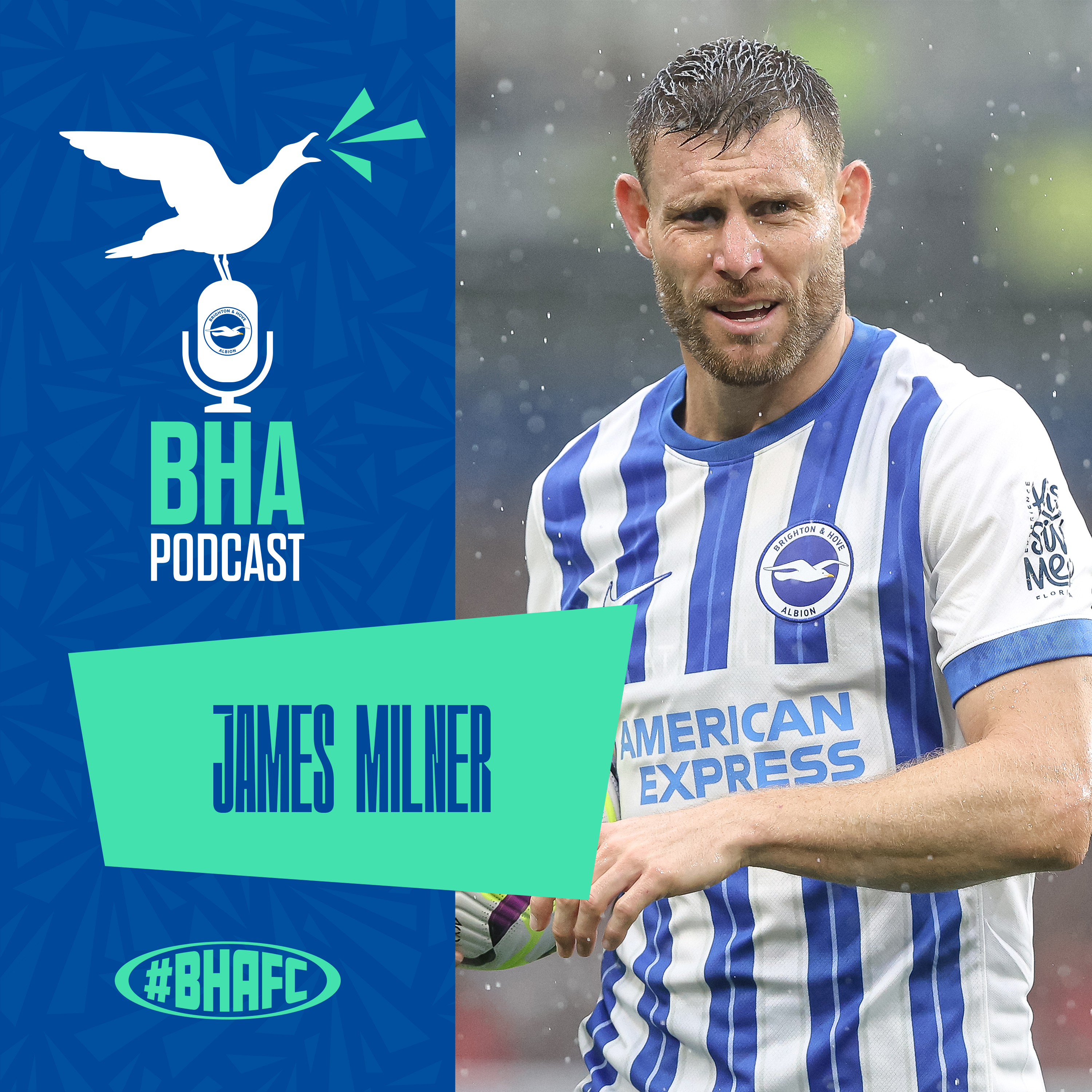 The Official Brighton and Hove Albion Podcast