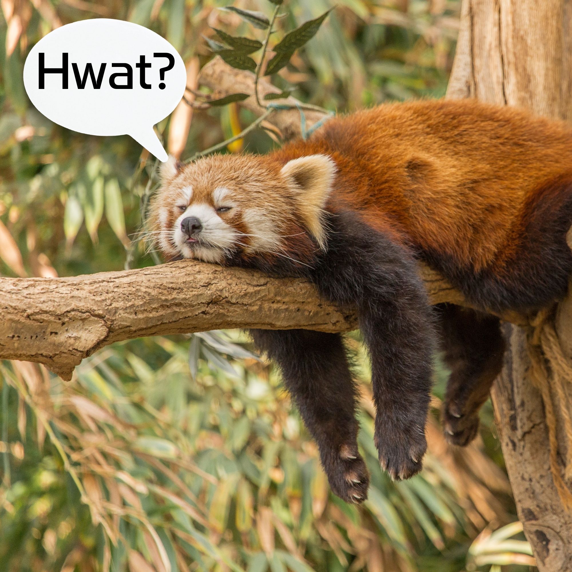 18: The Goo is Not Enough