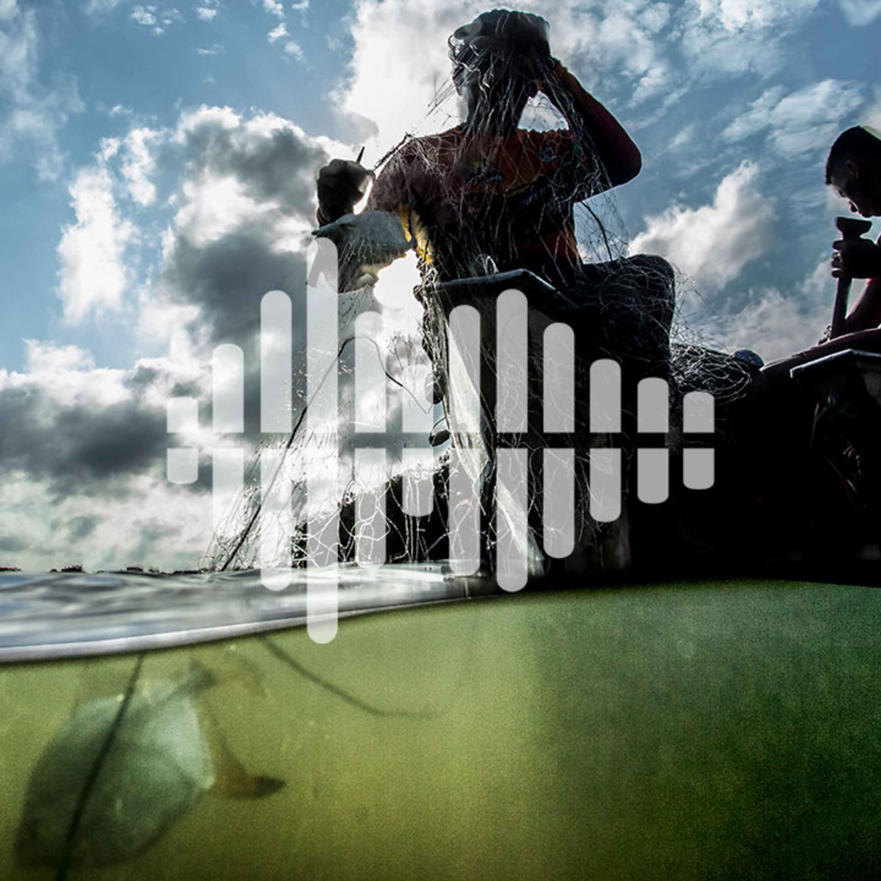 A controversial dam in the Amazon unites Indigenous people and scientists, and transplanting mitochondria to treat rare diseases