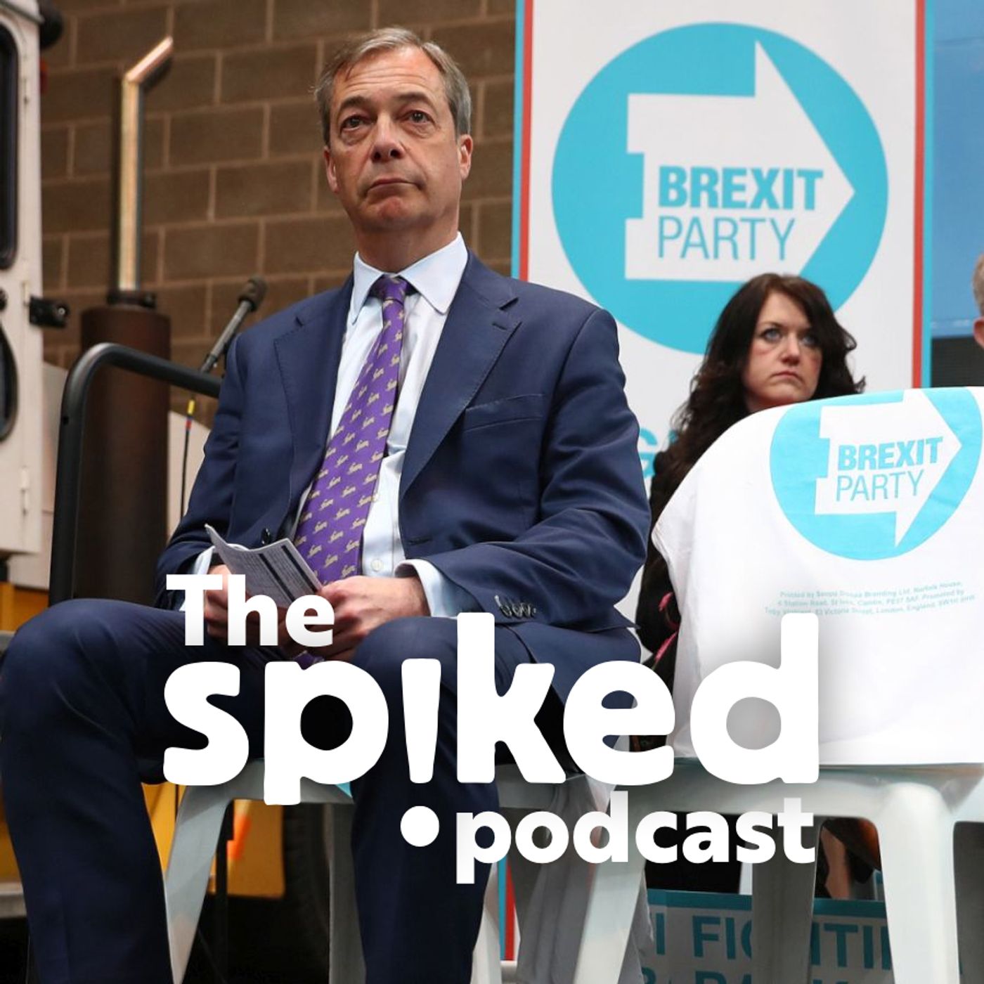 The taming of the Brexit Party