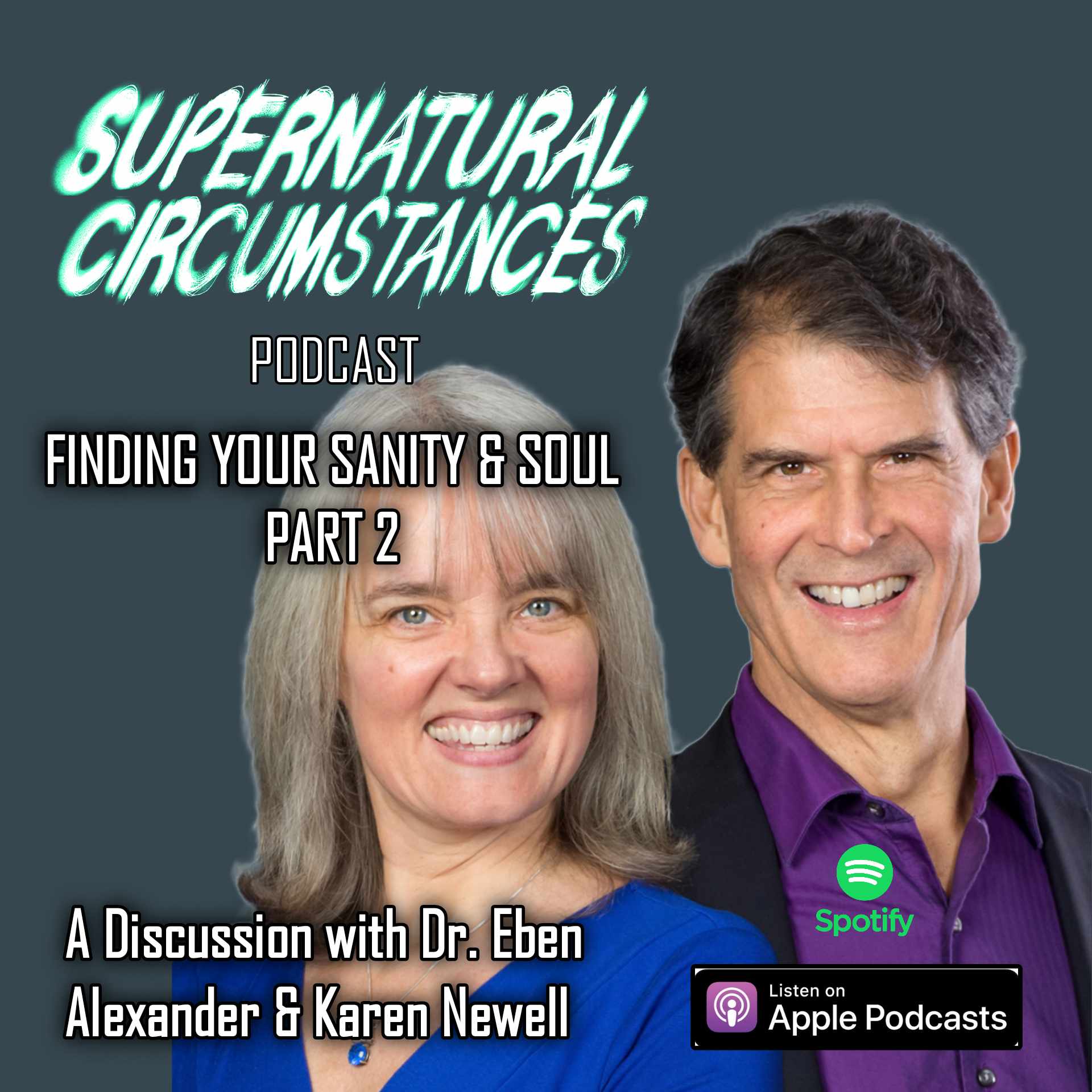 Finding your Sanity and Soul - Part 2 (with Dr, Eben Alexander and Karen Newell) episode artwork