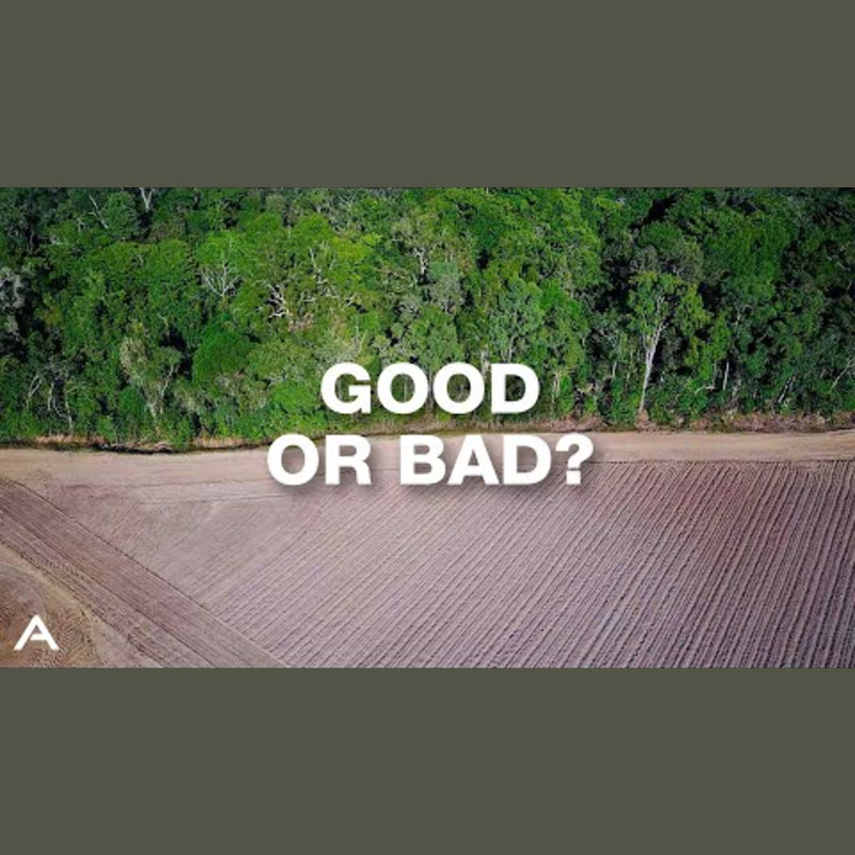 Agriculture: Humanity's Paradoxical Invention episode artwork