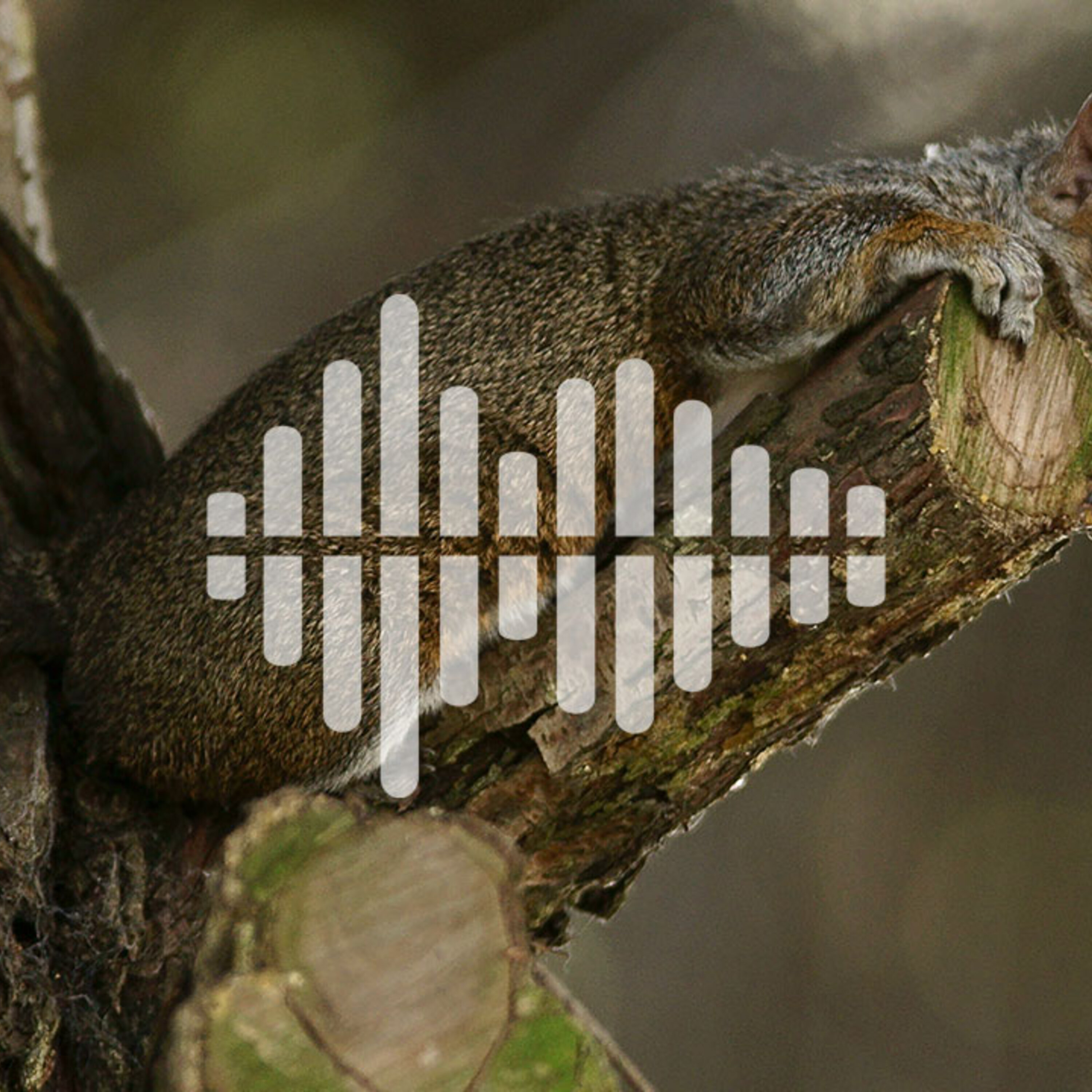 Year in review 2022: Best of online news, and podcast highlights