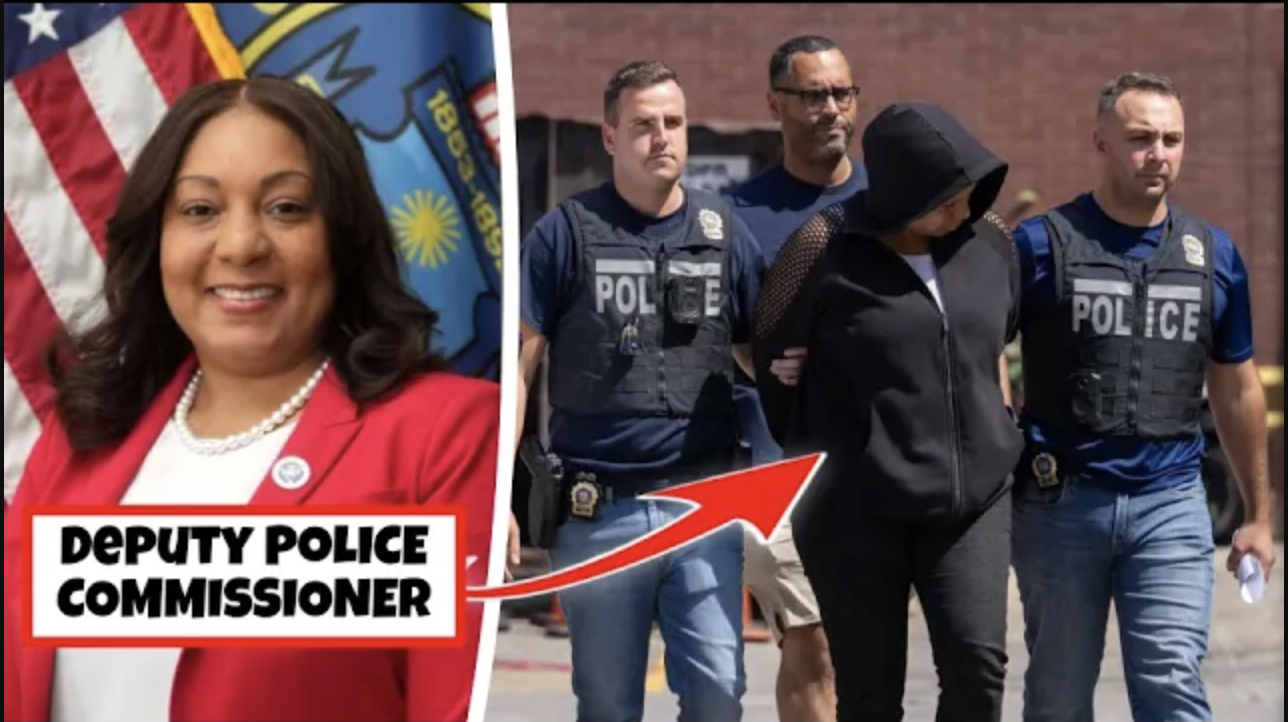 NY Police Commissioner Arrested For Committing A Drive-By Shooting For Gang. episode artwork