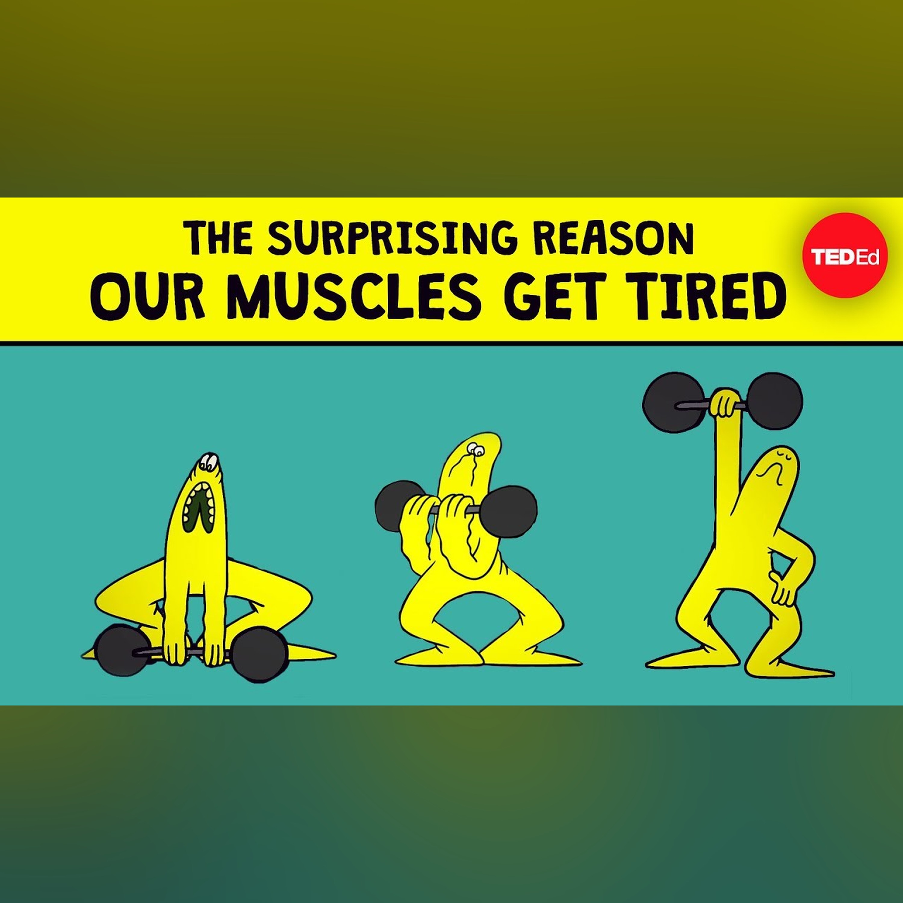 The surprising reason our muscles get tired - Christian Moro