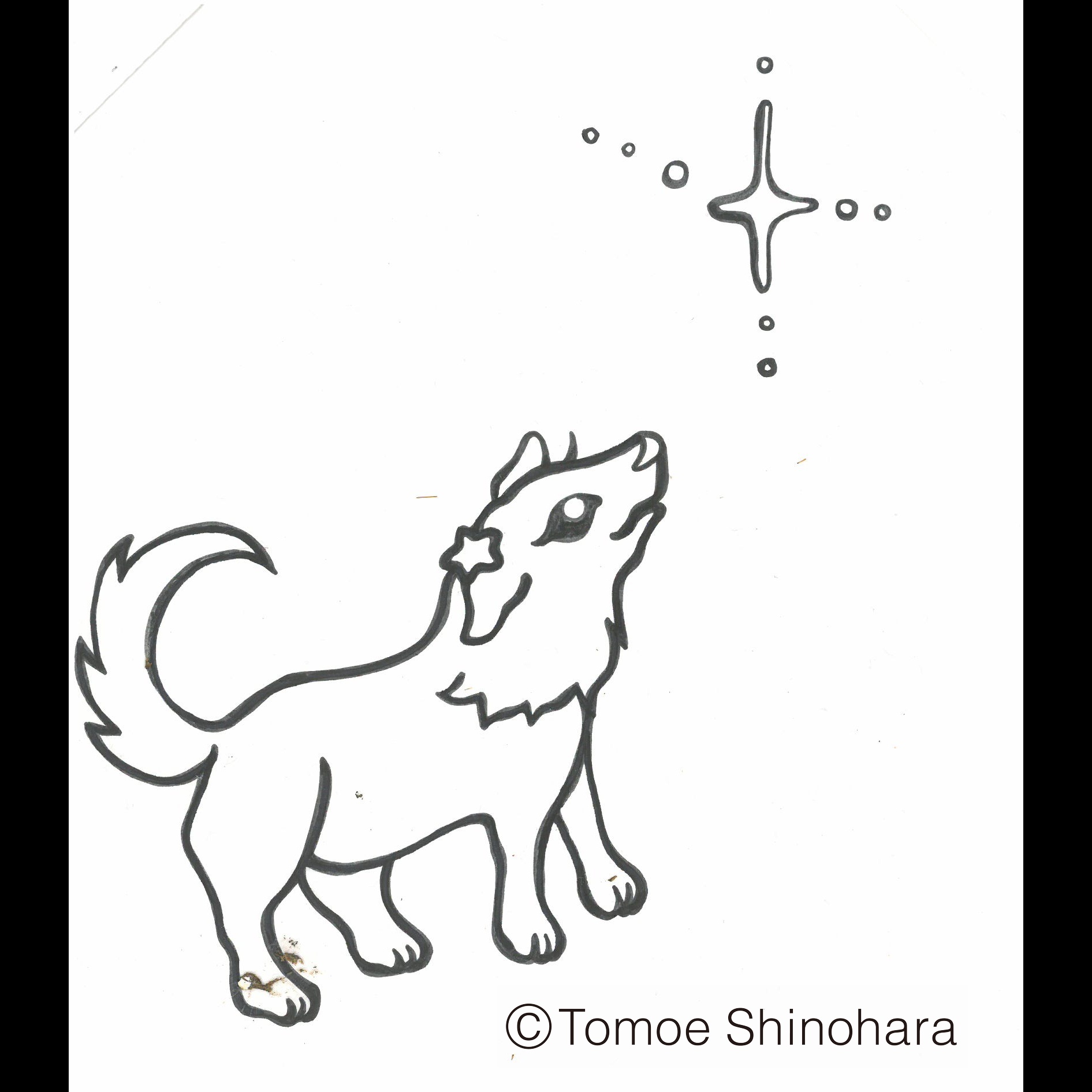 2月6日からの東京の星空情報☆彡