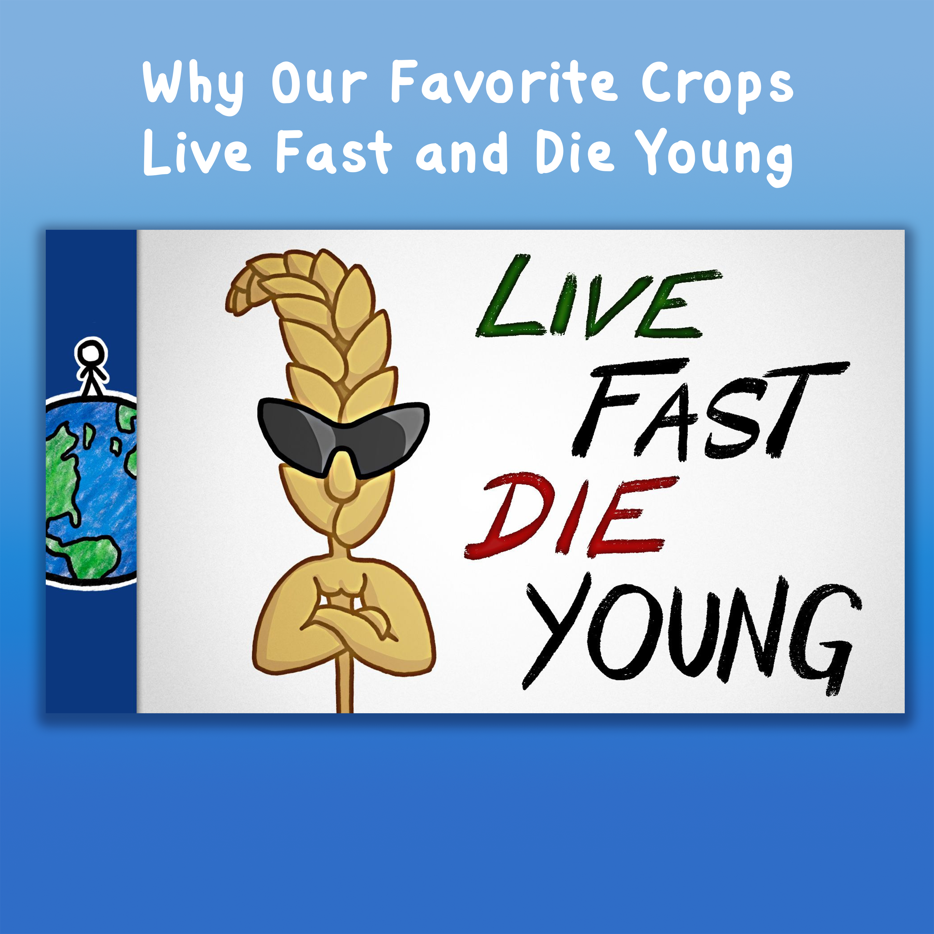 Why Our Favorite Crops Live Fast and Die Young