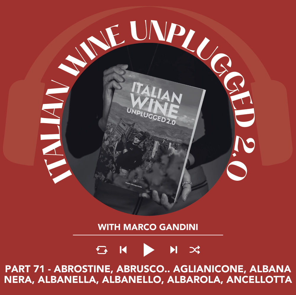 Marco Gandini Narrates Pt. 71 | Italian Wine Unplugged 2.0