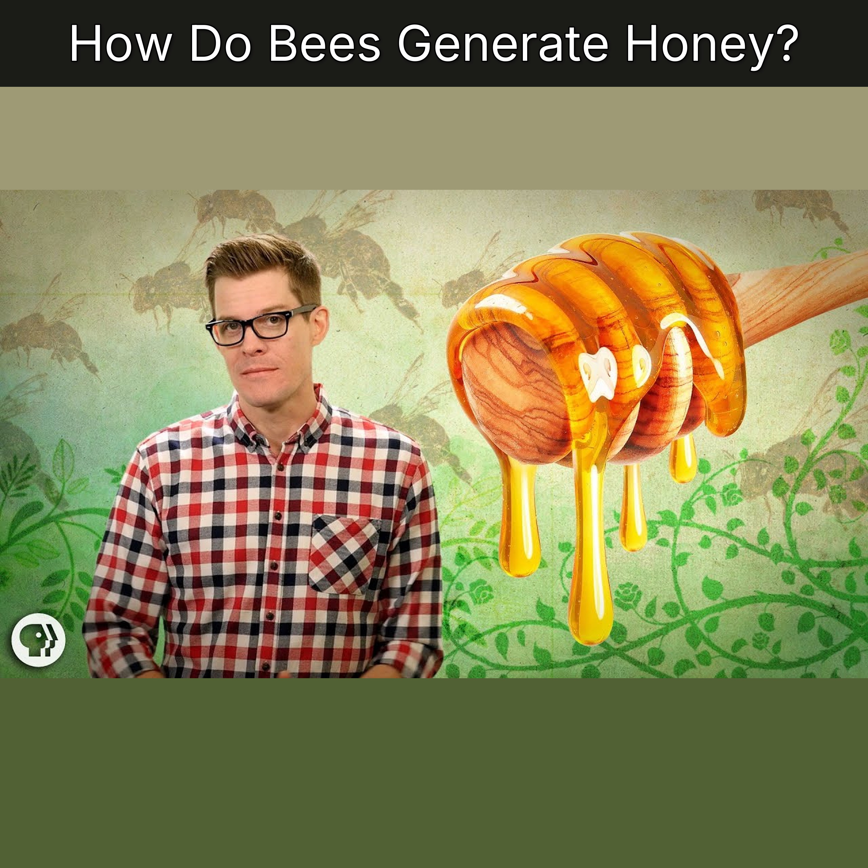 How Do Bees Generate Honey? episode artwork