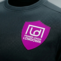 Premier League Lowdown