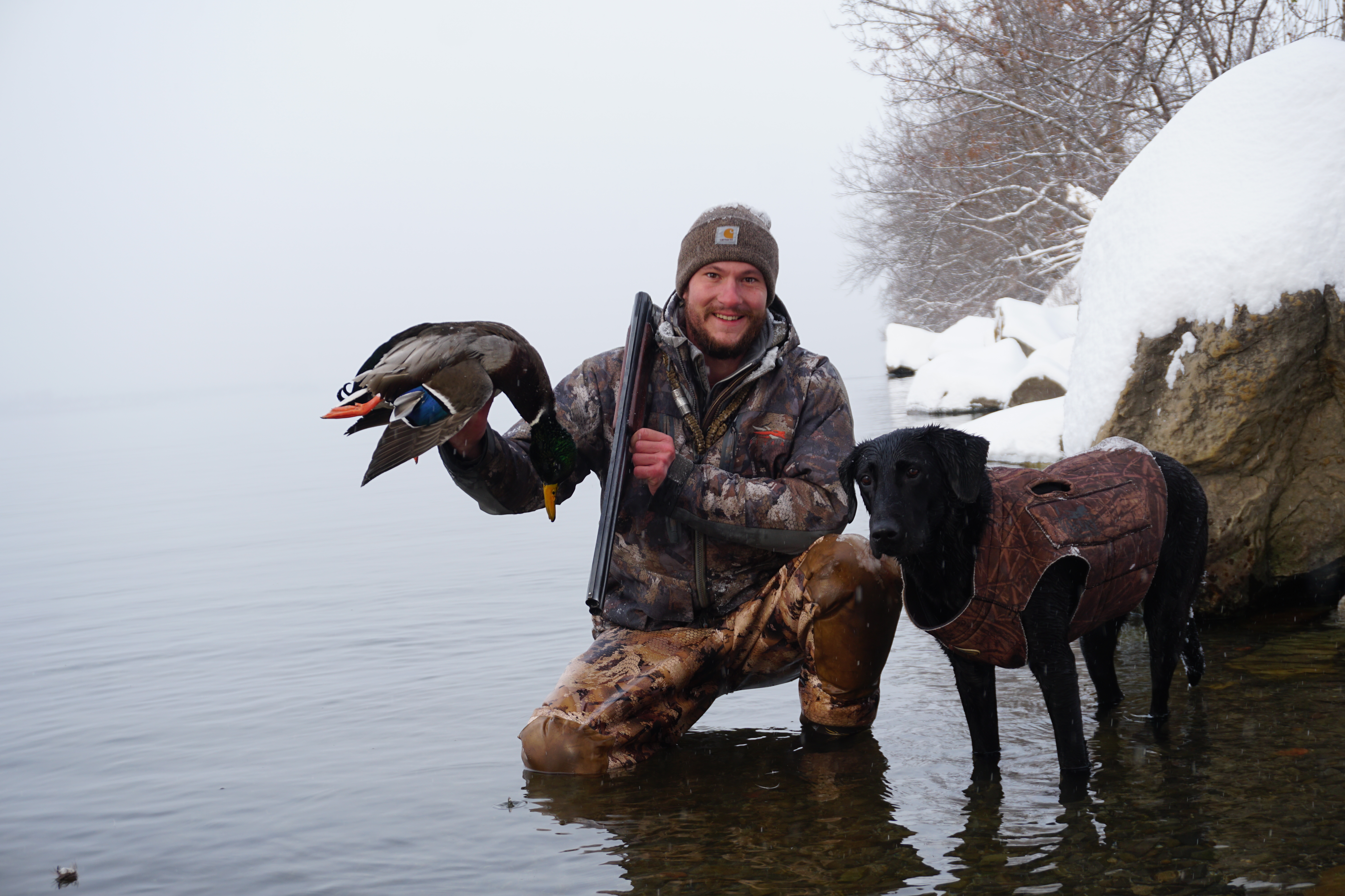 E 270. Getting the AdvantEDGE in Dog Training