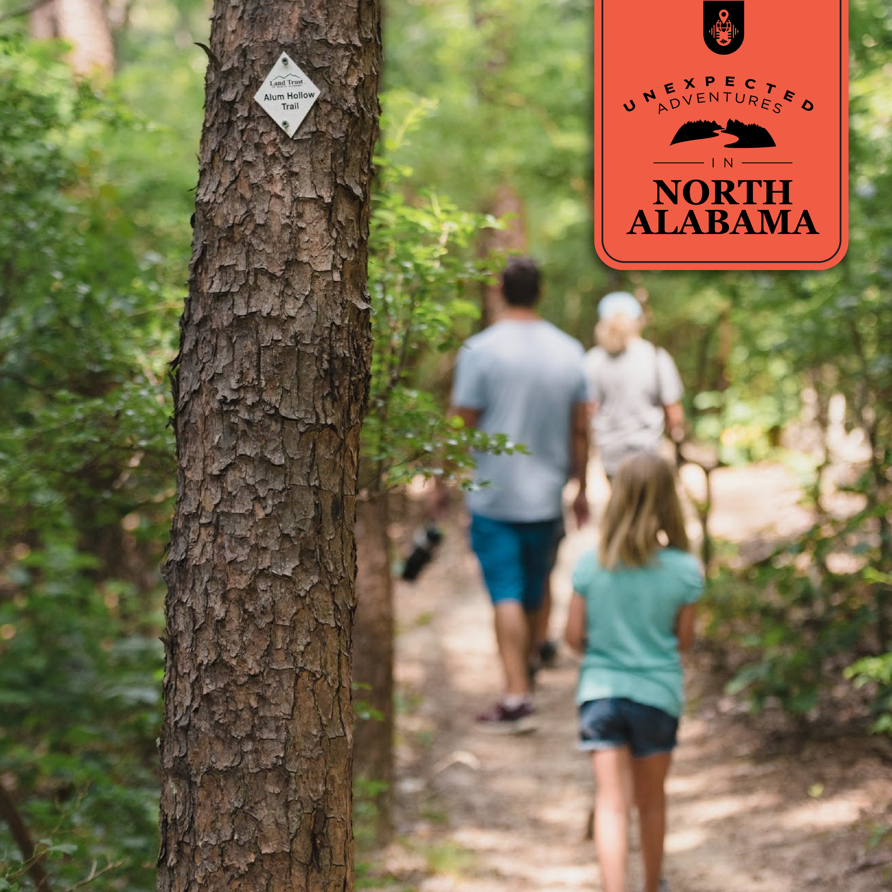 85: How The Land Trust is Protecting North Alabama’s Natural Spaces