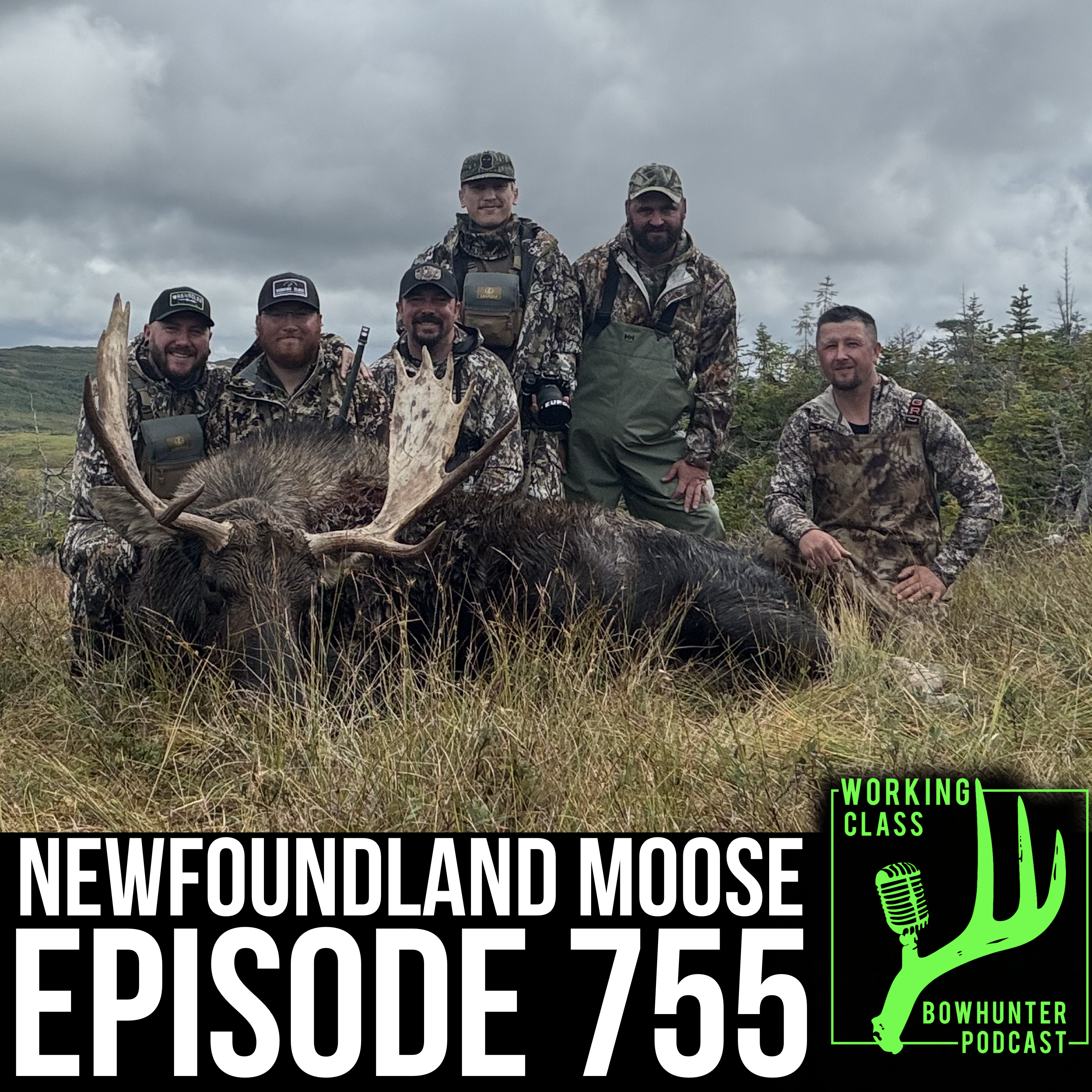 755 Newfoundland Moose Trip