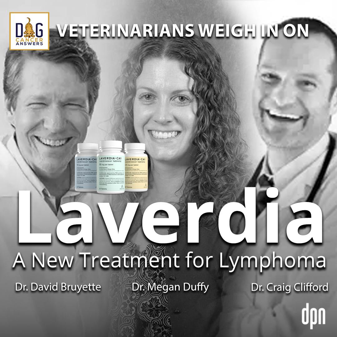 Laverdia: A New Treatment for Lymphoma | Dr. David Bruyette, Dr. Megan Duffy, and Dr. Craig Clifford Deep Dive