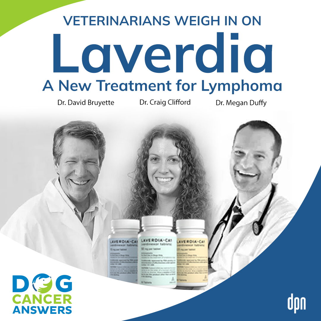Laverdia: A New Treatment for Lymphoma | Dr. David Bruyette, Dr. Megan Duffy, and Dr. Craig Clifford #145