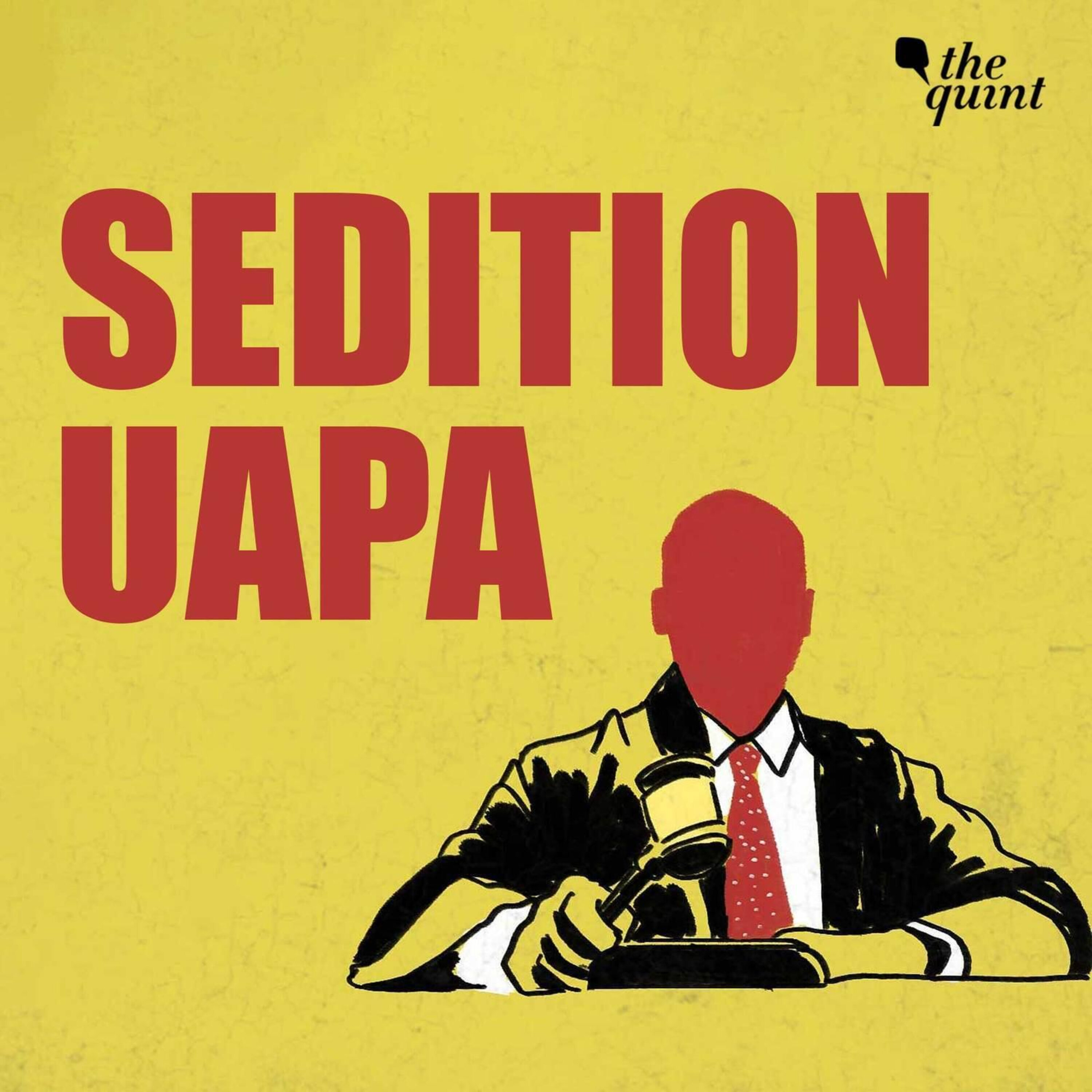 'Sedition, UAPA Laws Have No Place in Democracy': Former SC, HC Judges episode artwork