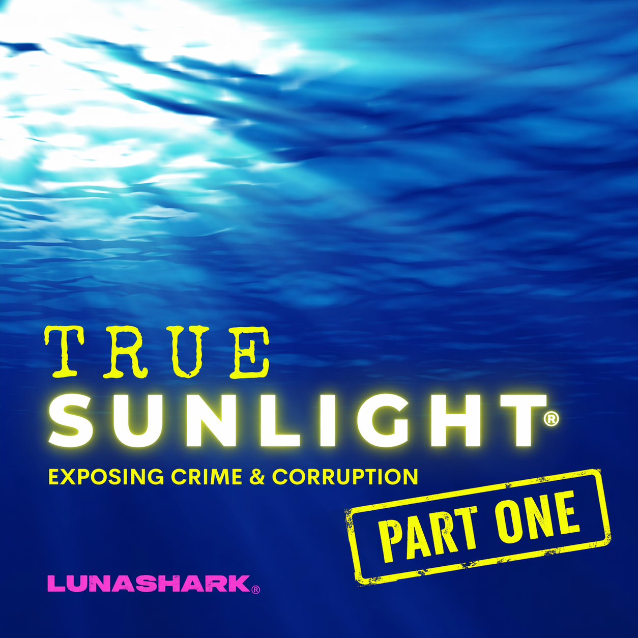 TSP #146 [Part One] - The (Very Messy) ‘Green Sea 14’ Sex Scandal at Horry County Police and the Polygraph that Blew It All Up