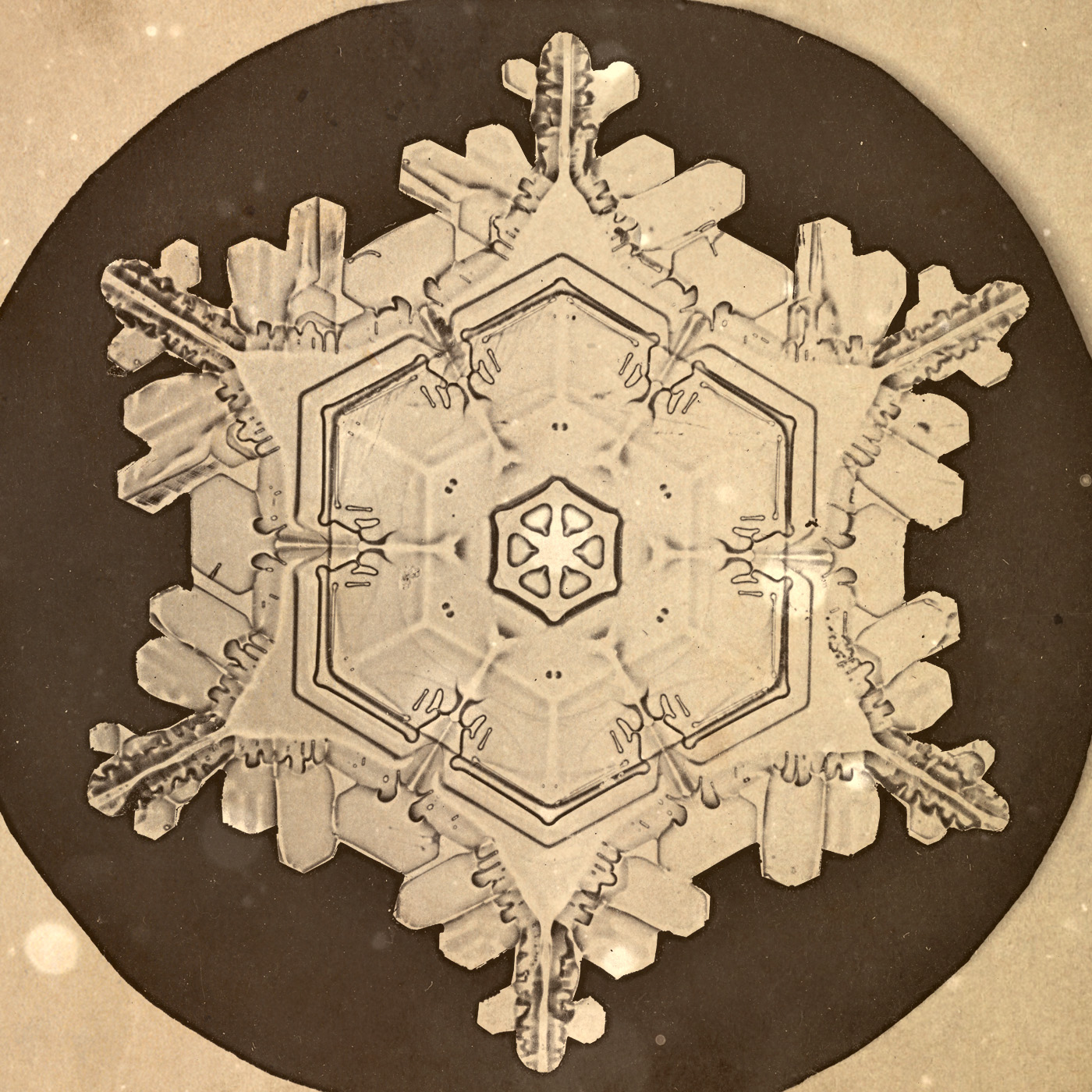 Loremen S7Ep30 - Snow in Summer episode artwork