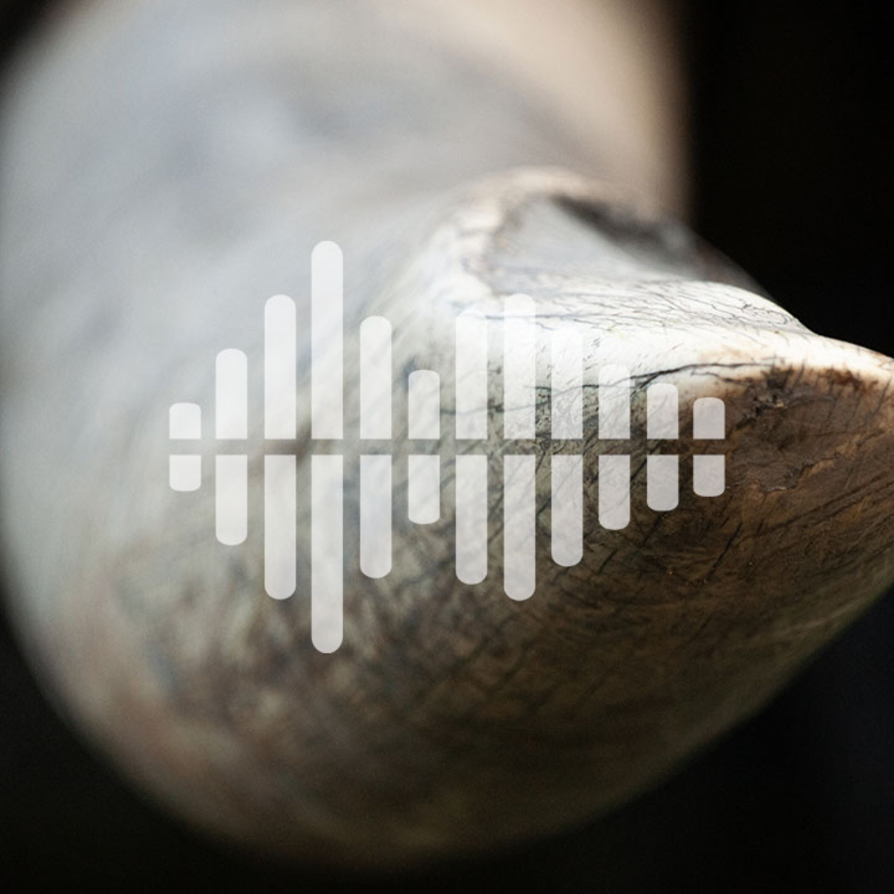 Mammoth ivory trade may be bad for elephants, and making green electronics with fungus