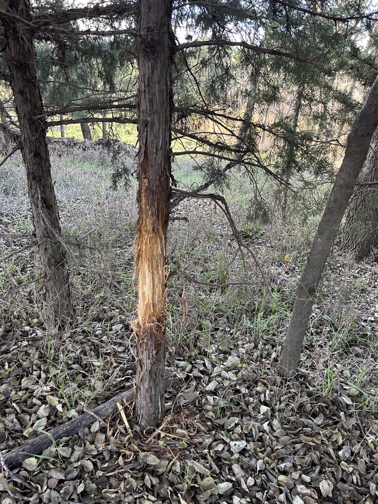 EP. 470: Why You Feel Stuck In Your Hunting