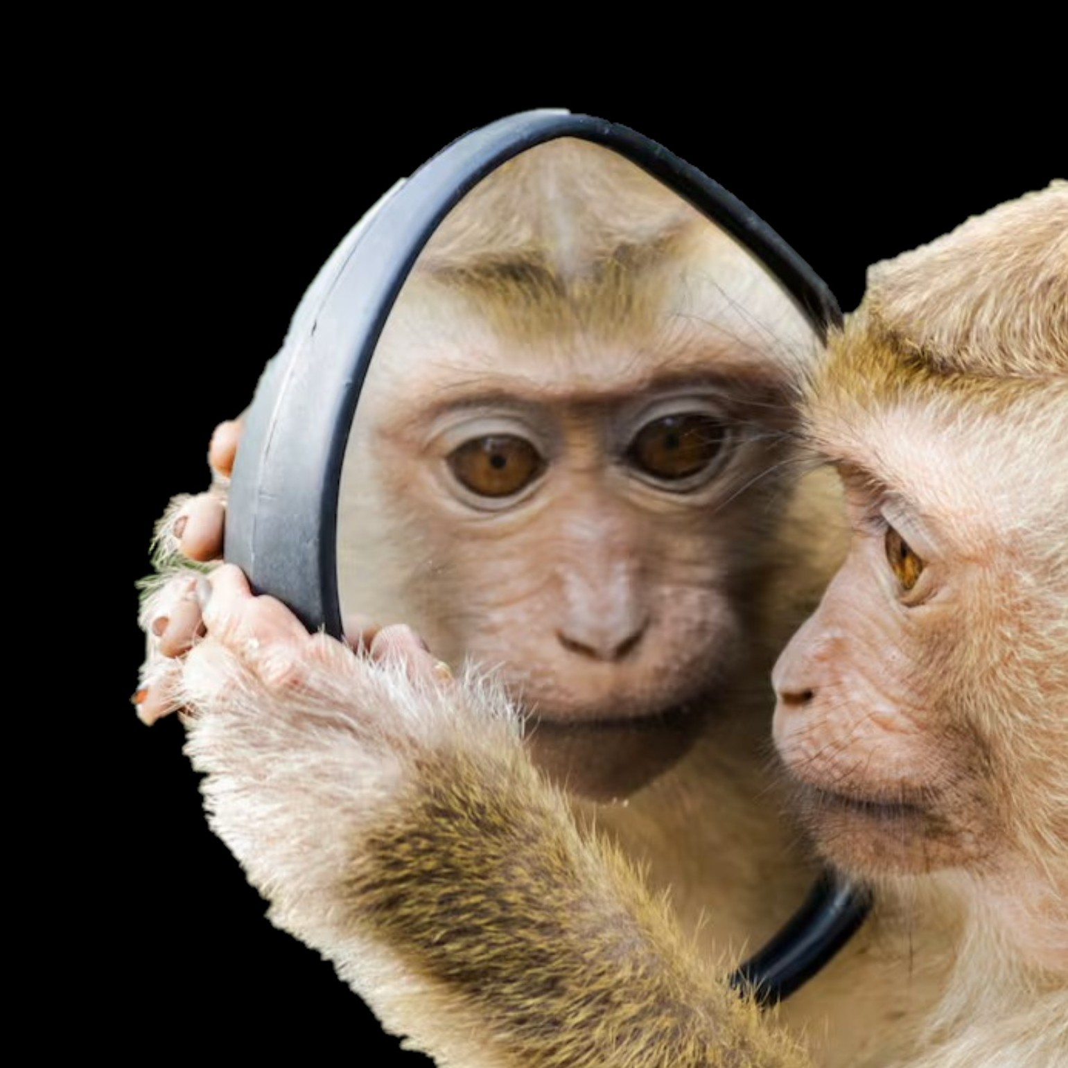 Mystères de la Conscience - Science et Philosophie pour s'endormir