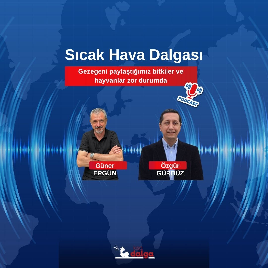 Kısa Dalga Podcast