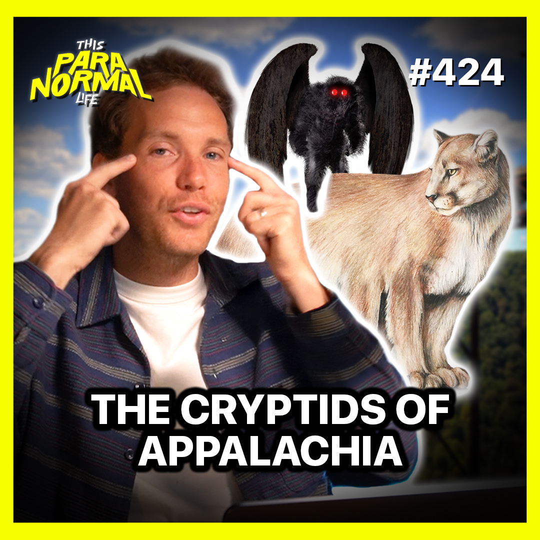 Why are the Appalachian Mountains SO Haunted? Cryptids, Ghosts, and UFOs artwork