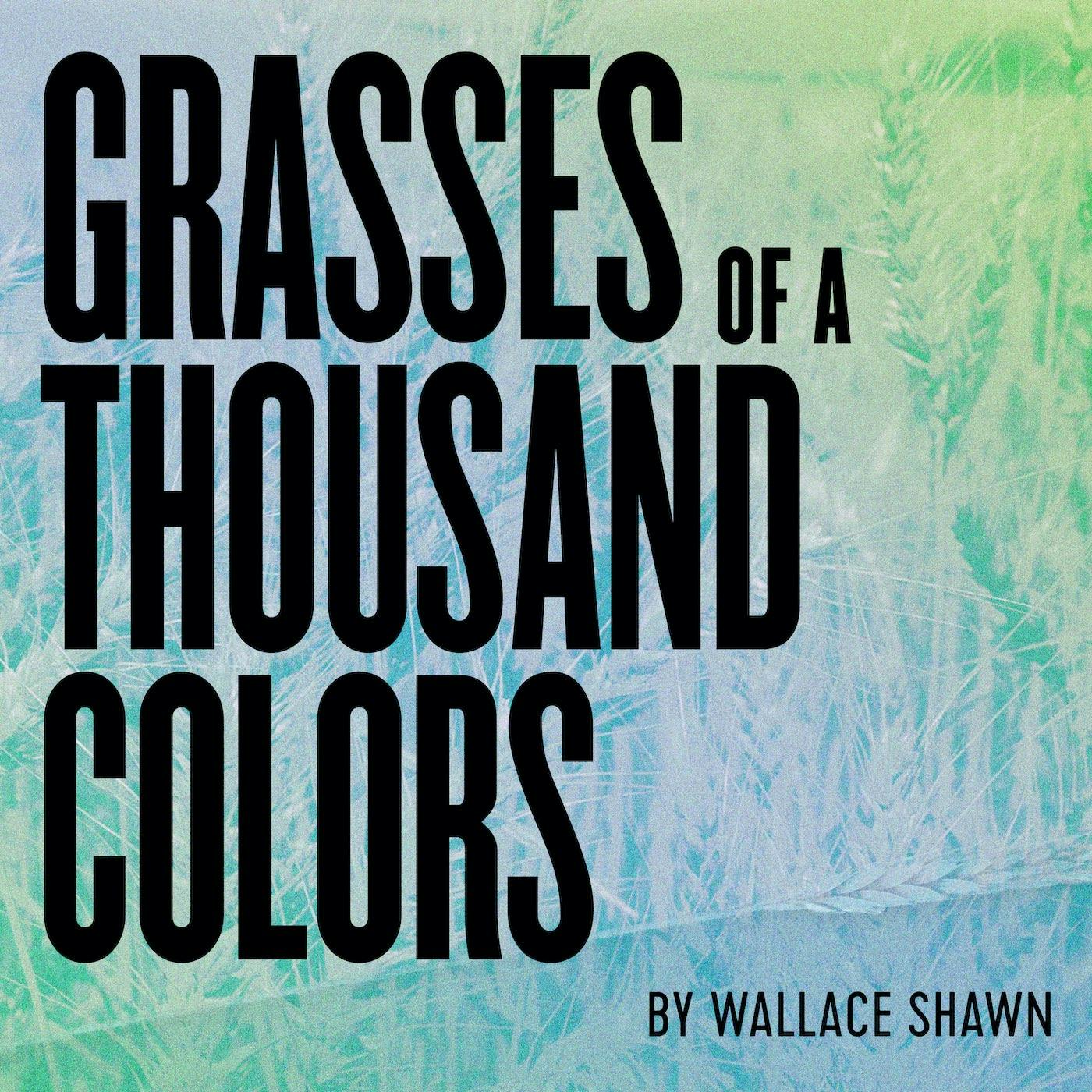 Grasses of a Thousand Colors