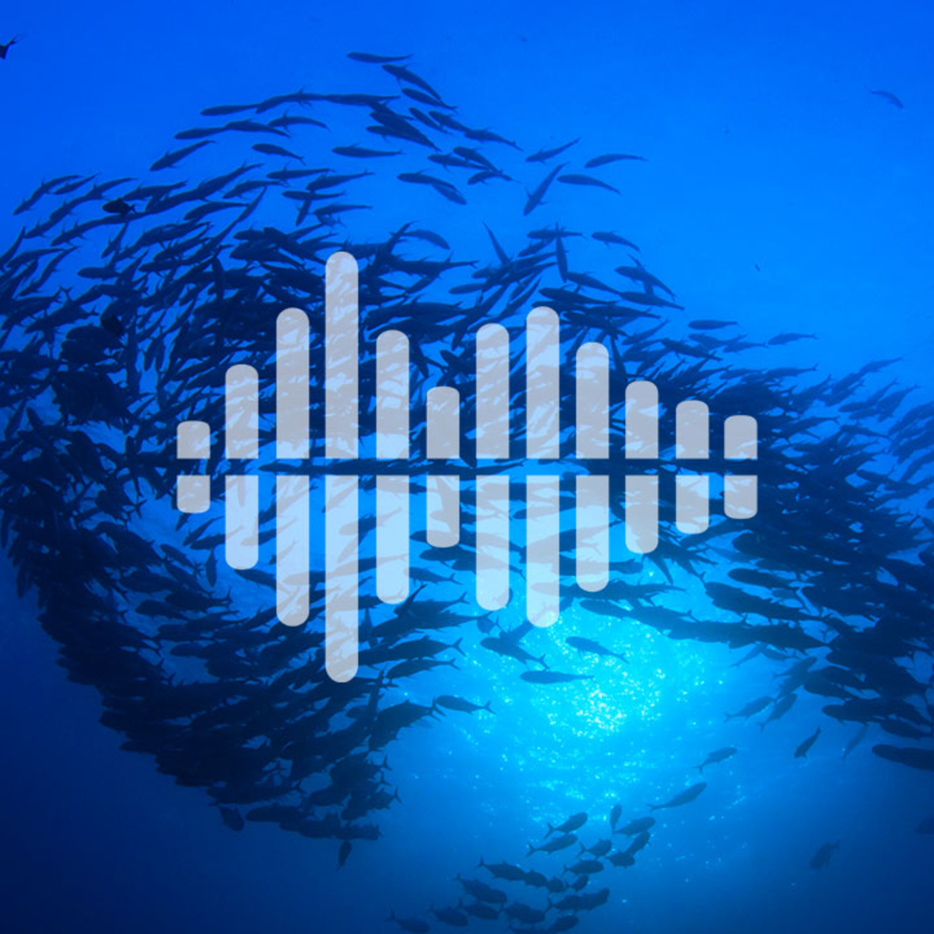 Kurt Vonnegut’s contribution to science, and tunas and sharks as ecosystem indicators