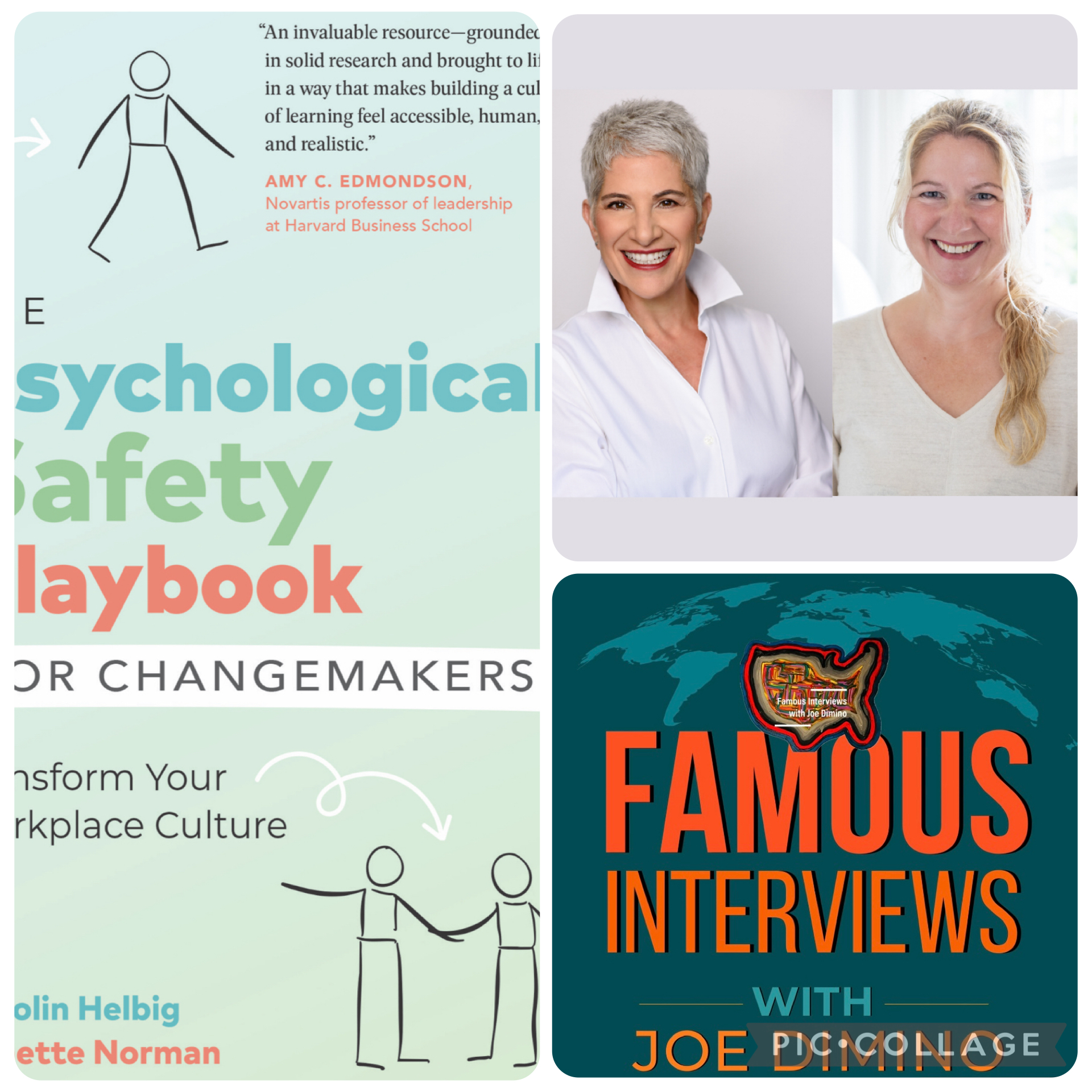 The Psychological Safety Playbook | Minette Norman & Dr. Karolin Helbig Interview
