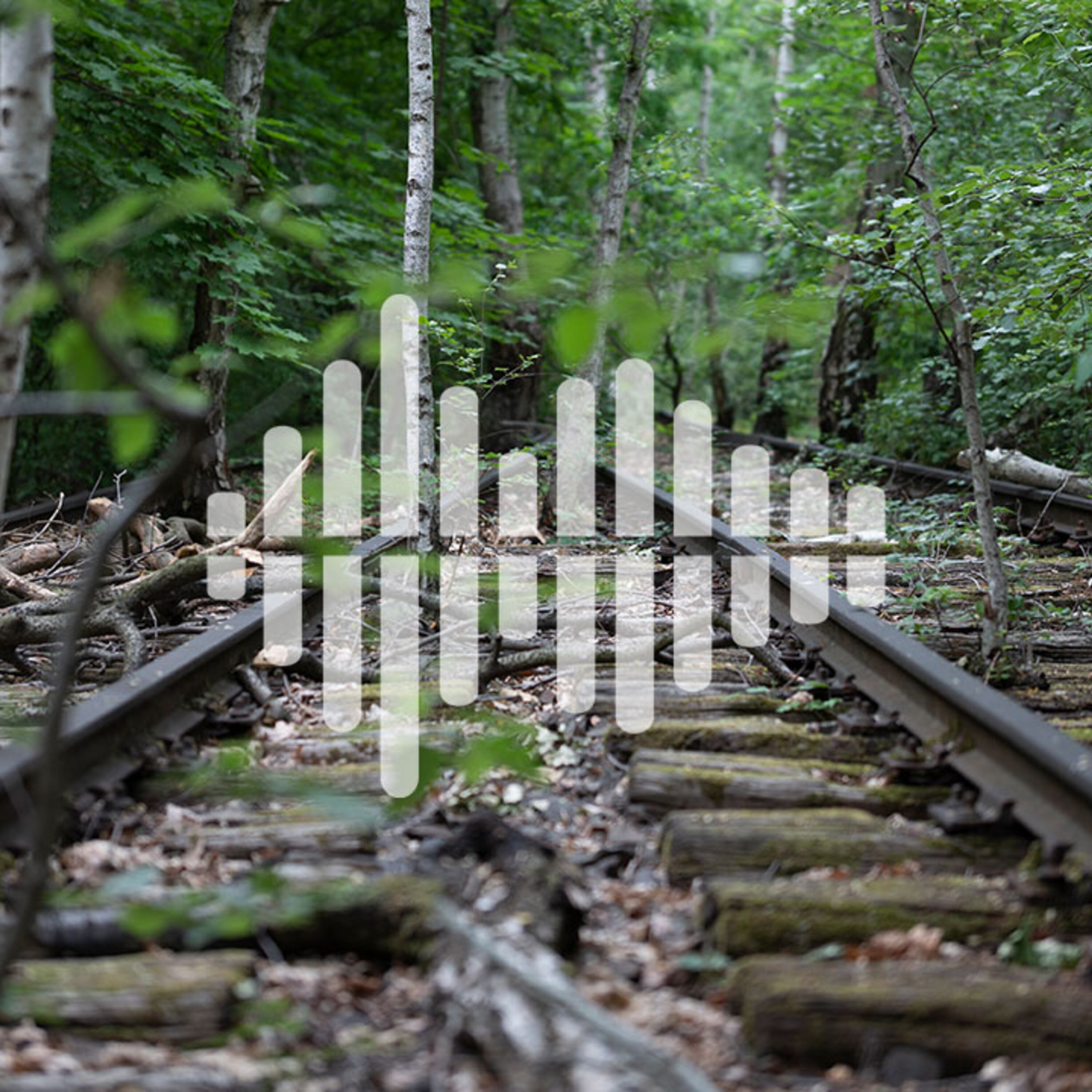 Cities as biodiversity havens, and gene therapy for epilepsy