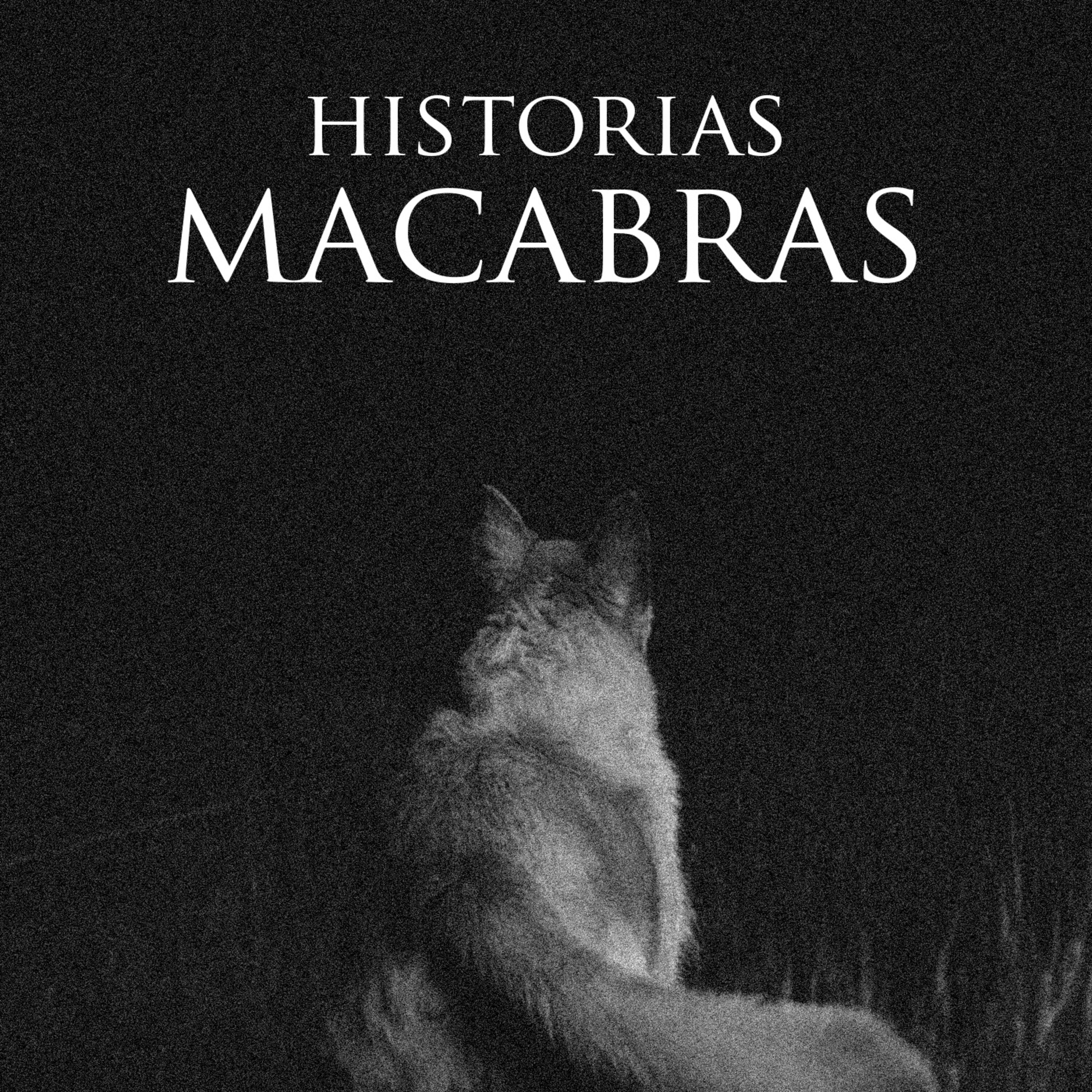 Portada de Sonoro Podcast