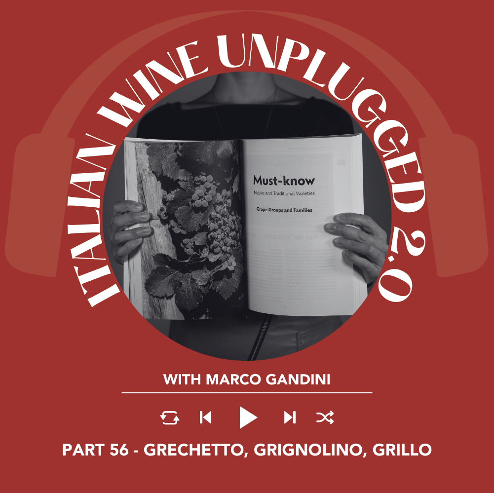 Marco Gandini Narrates Pt. 56 | Italian Wine Unplugged 2.0