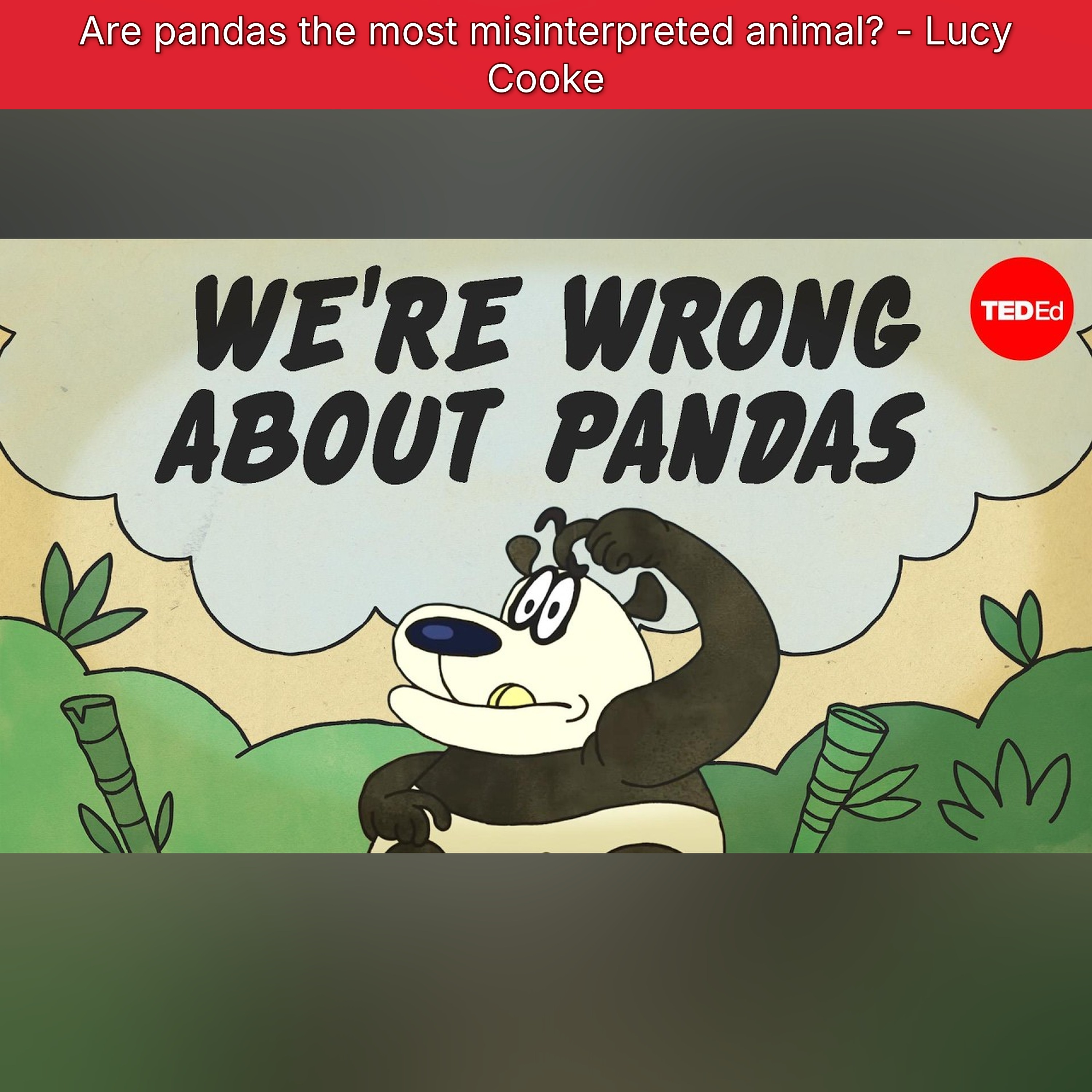 Are pandas the most misinterpreted animal? - Lucy Cooke episode artwork