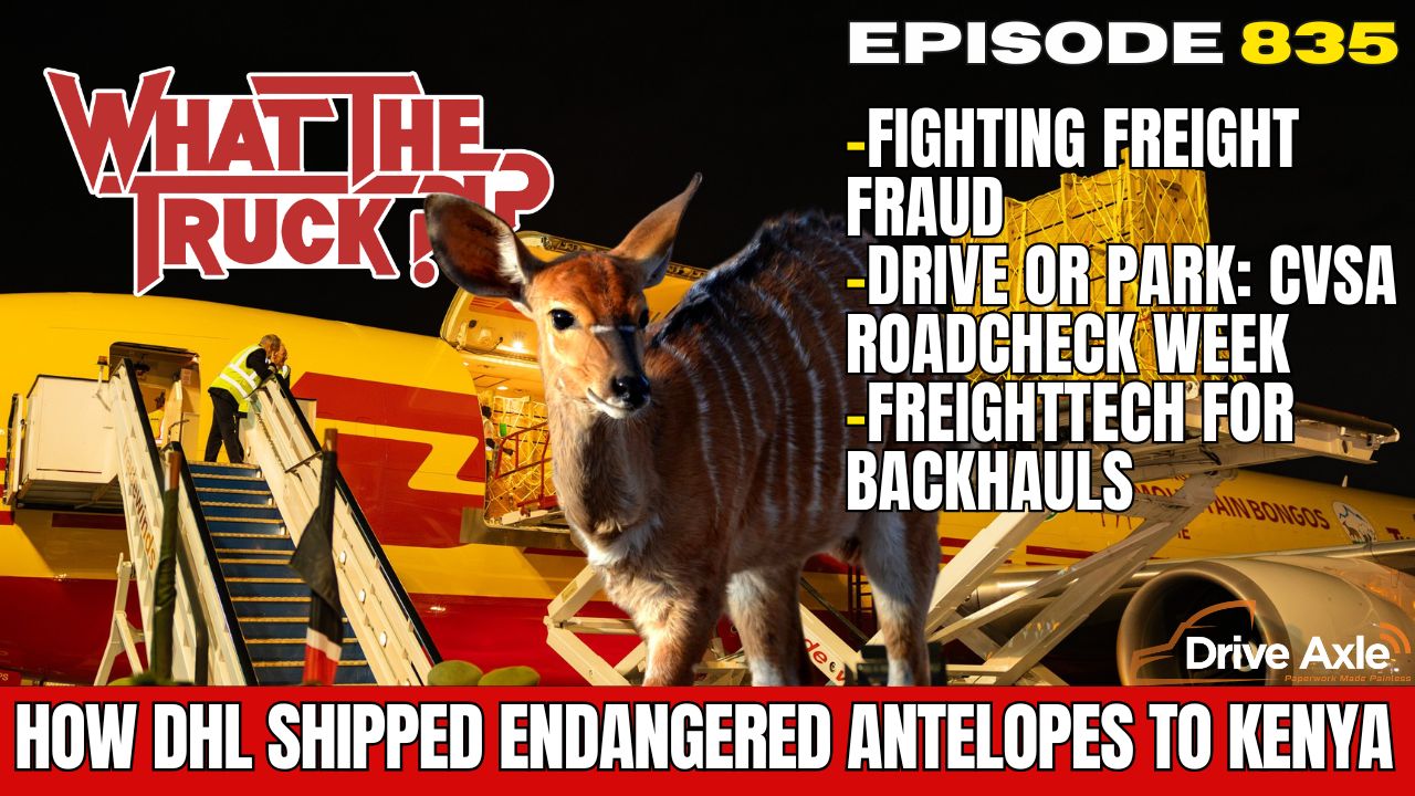 DHL Express ships endangered antelopes to Kenya; freight fraud; fixing backhauls