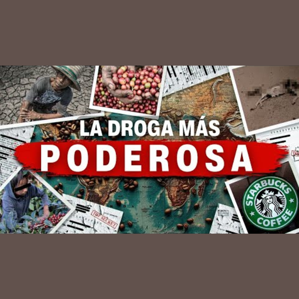 El lado oscuro detrás de tu dosis diaria de cafeína