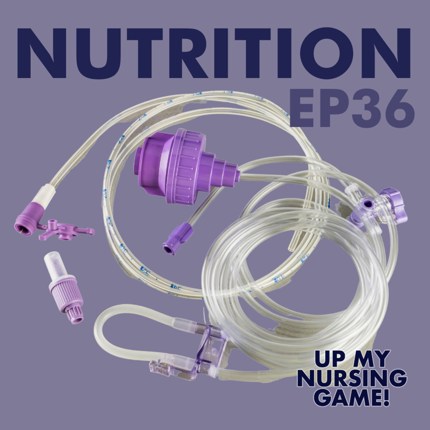 Stop Starving Your Patients! How Nurses Can Promote Nutrition with Janice Powers, PhD, RN episode artwork