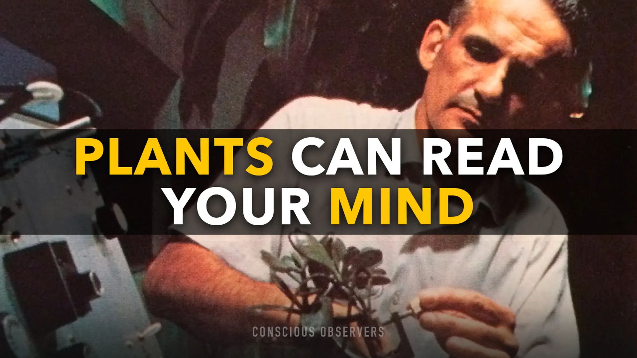 Plants Can Read Your Mind & See The Future: The Cleve Backster Story | EP 69 episode artwork