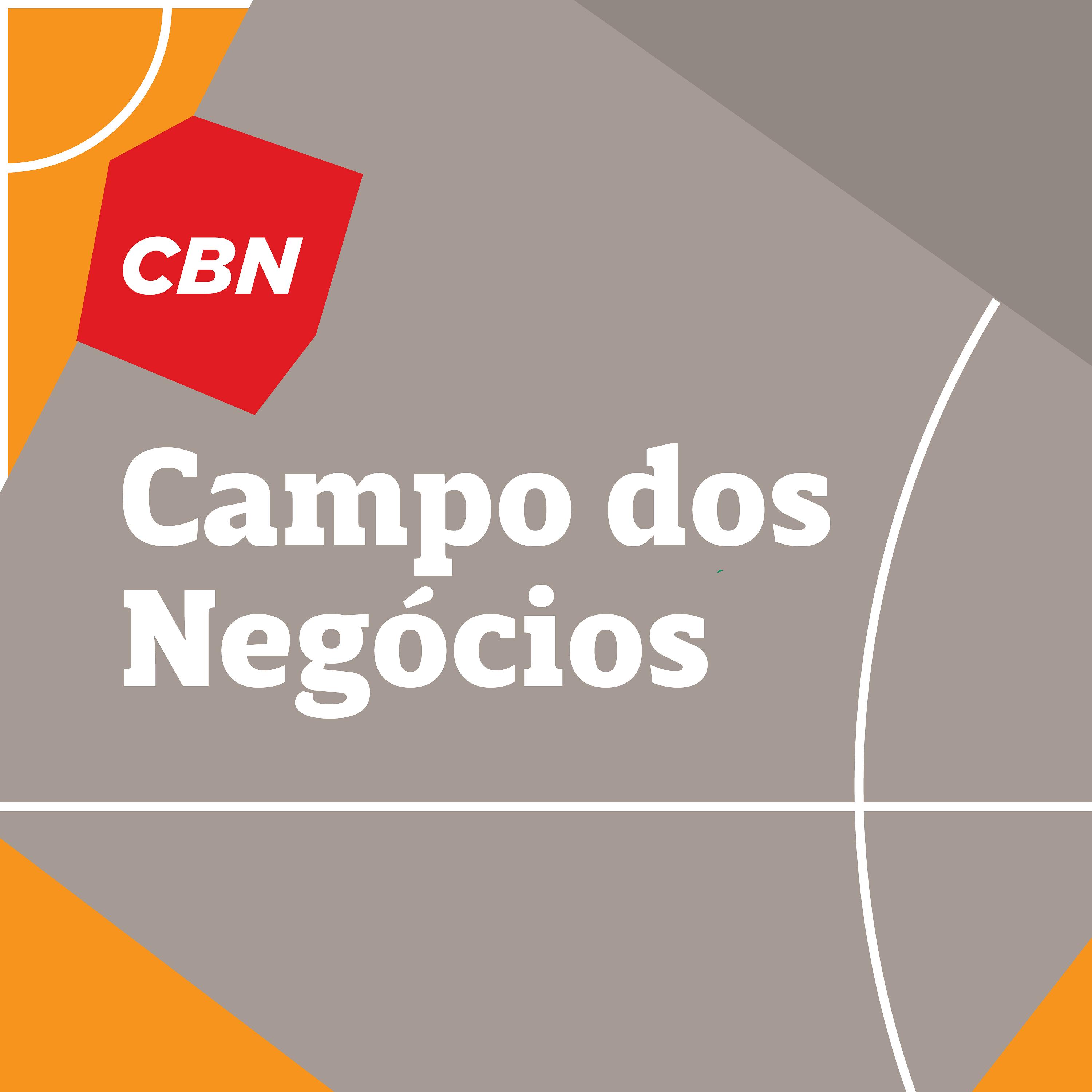 Marketing deve alinhar com a história do clube? Marketing deve alinhar com a história do clube?
