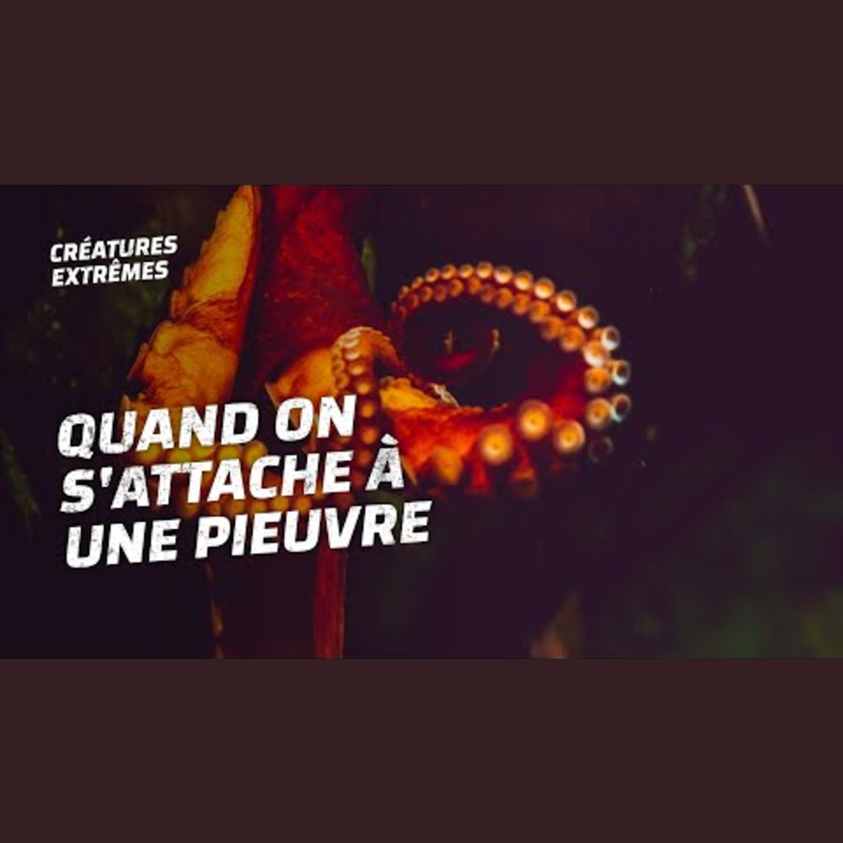 Créatures Extrêmes