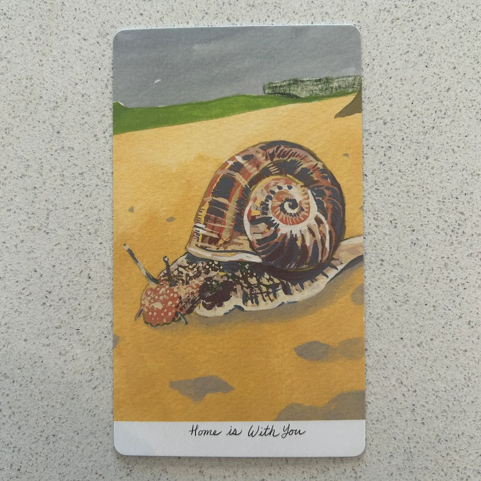 A brief history of el Camino de Santiago episode artwork